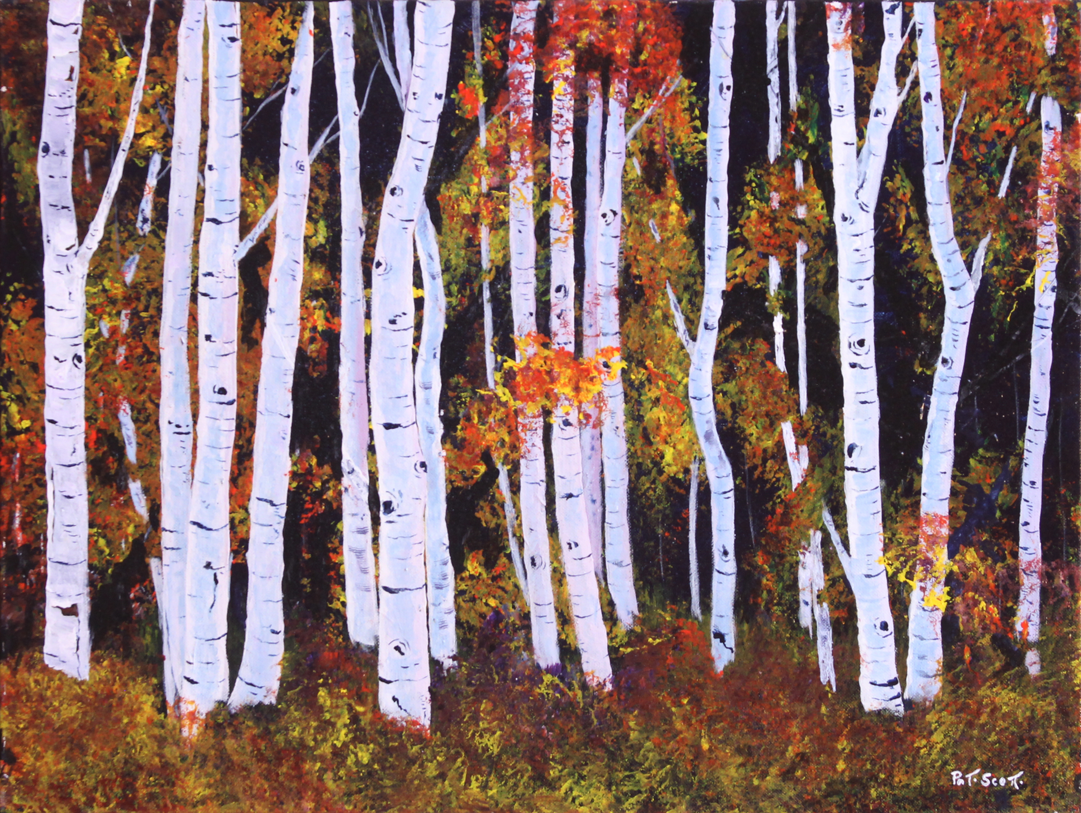 Fall Birch Trees - Acrylic Painting - Deep Canvas - 18
