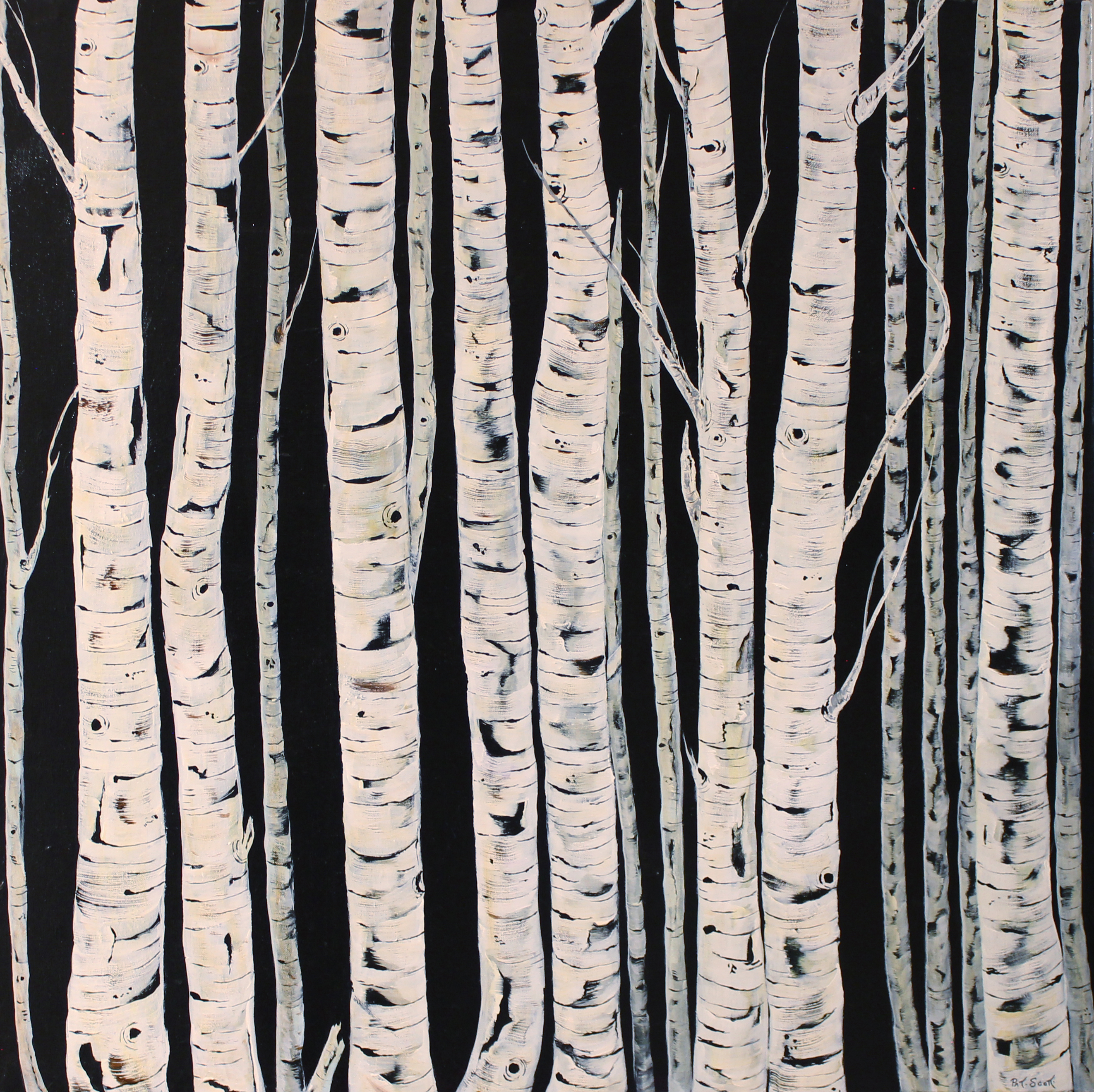 Birch Trees - Acrylic Painting - Deep Canvas - 40