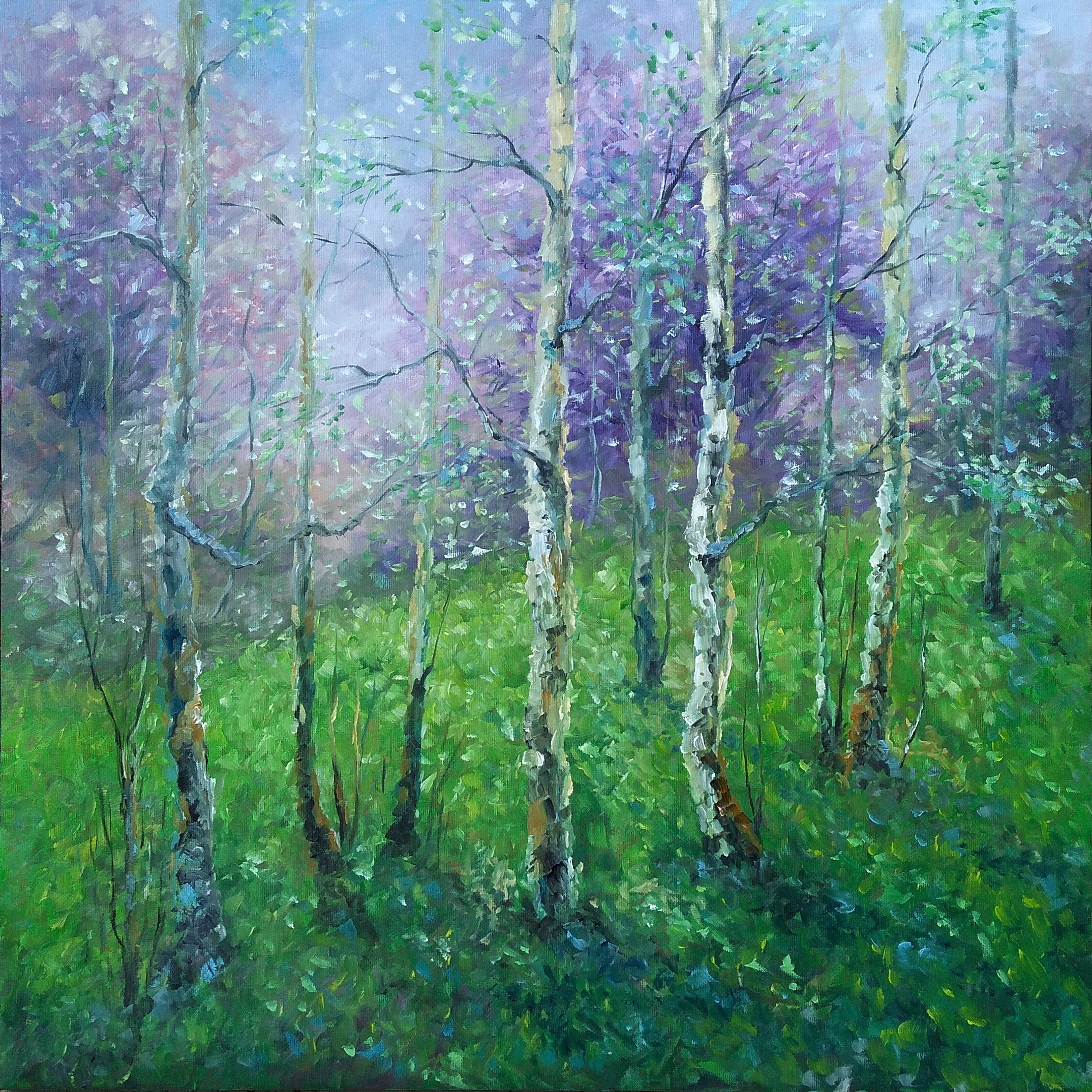 SPRING POEM, 60x60cm, original birches trees landscape oil painting ...