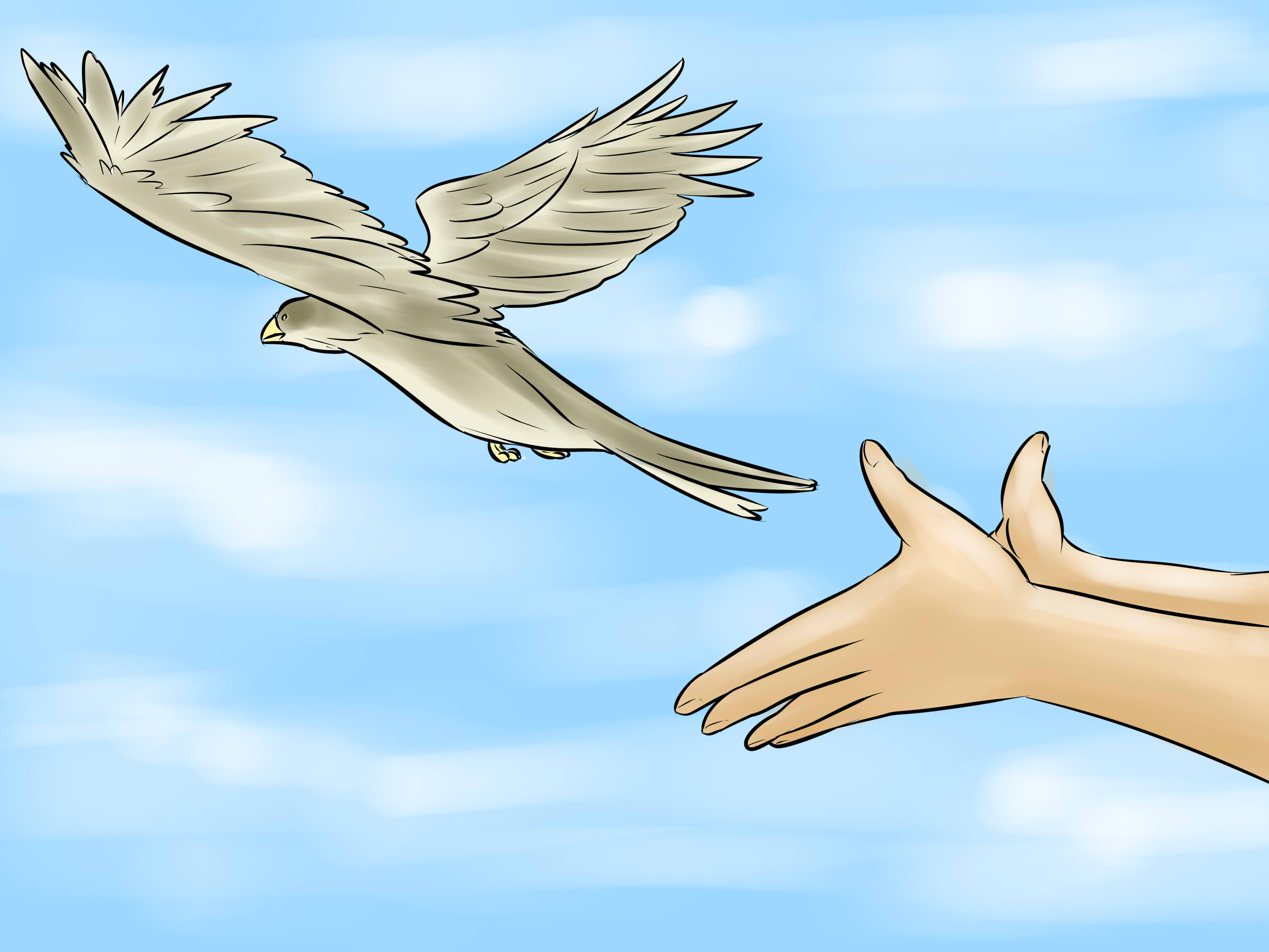 How to Calm Down a Bird: 9 Steps (with Pictures) - wikiHow