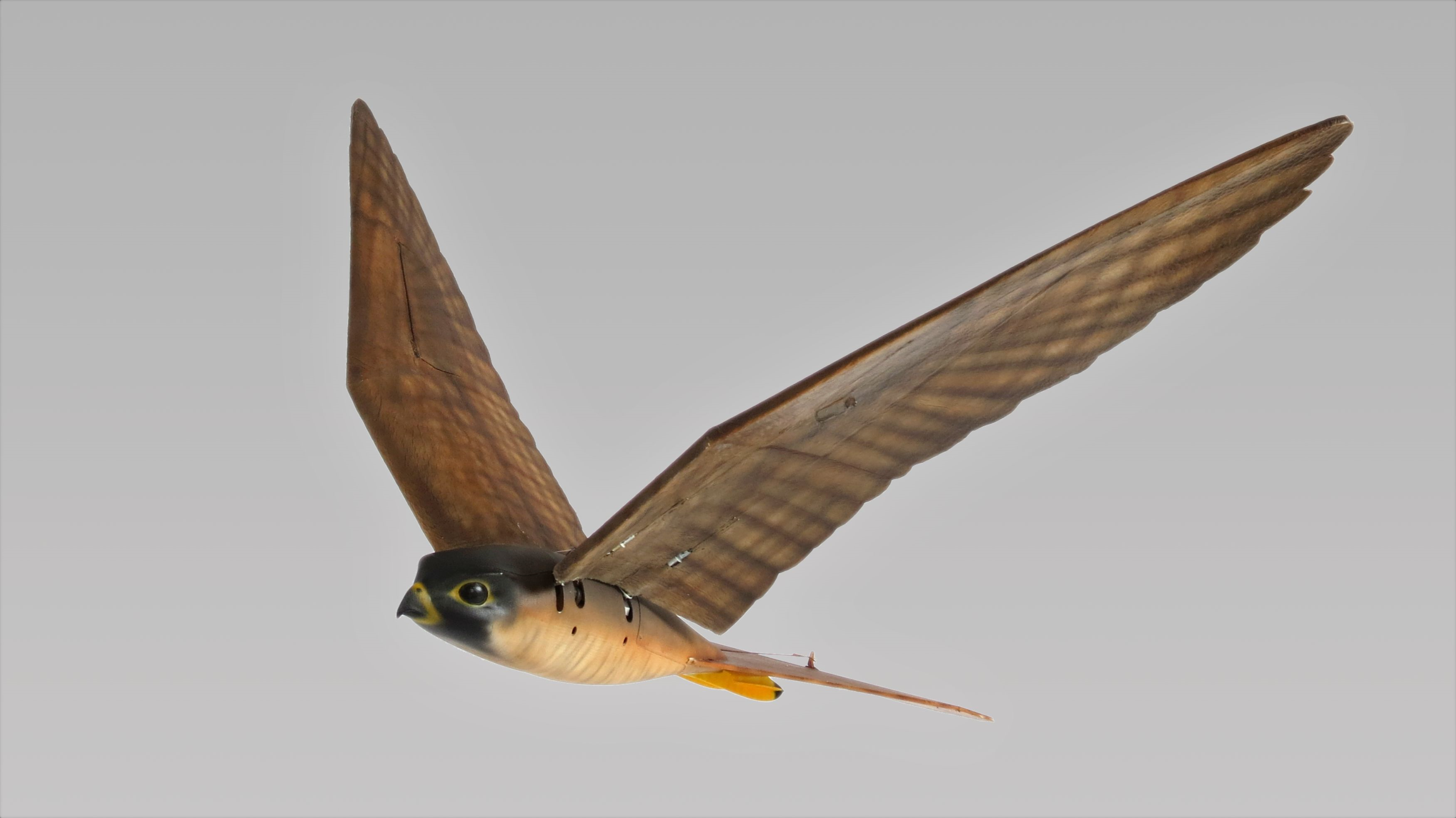 Realistic 3D Printed “Robirds” Designed to Scare Away Bird Flocks ...