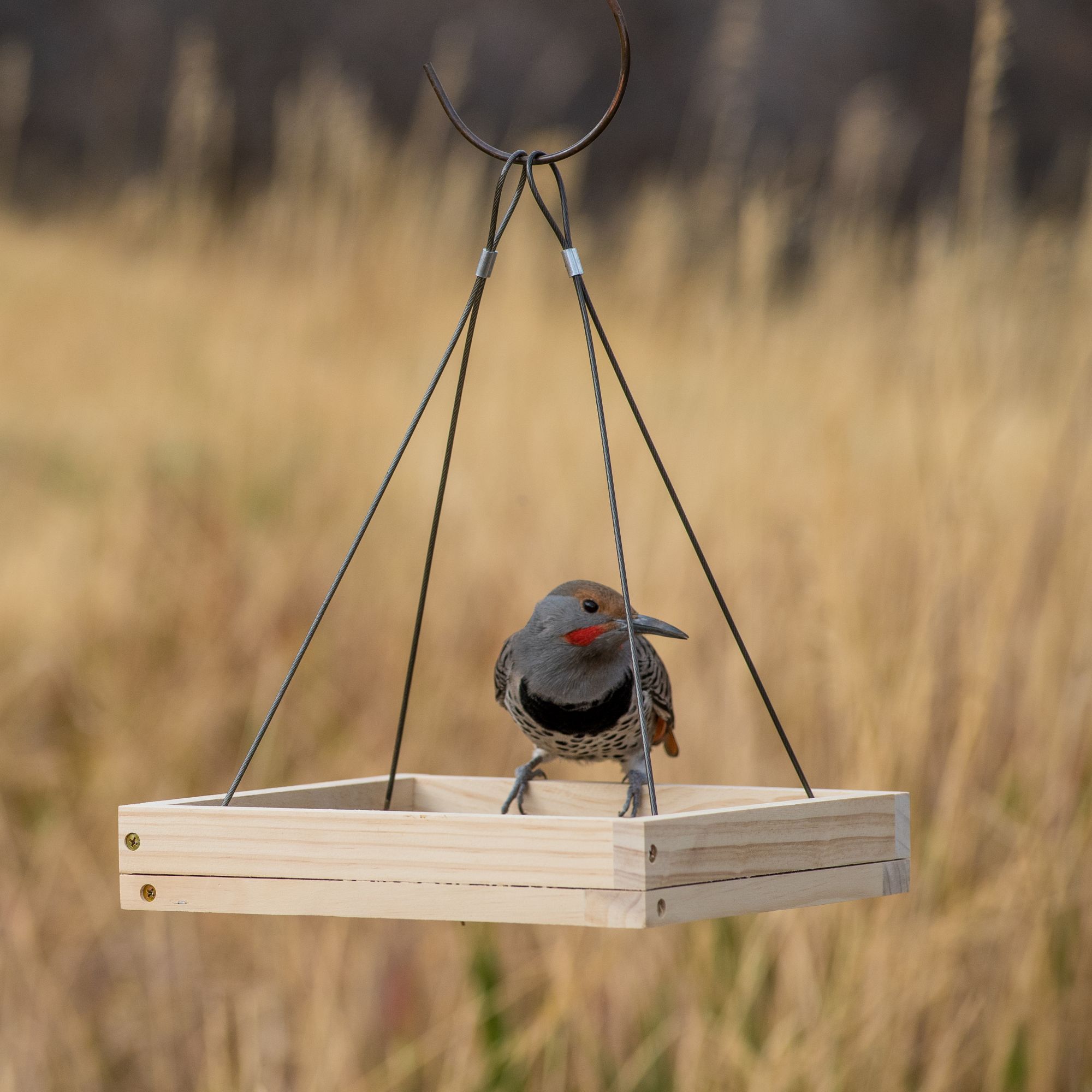Bird Feeders | Perky-Pet Wild Bird and Hummingbird feeders