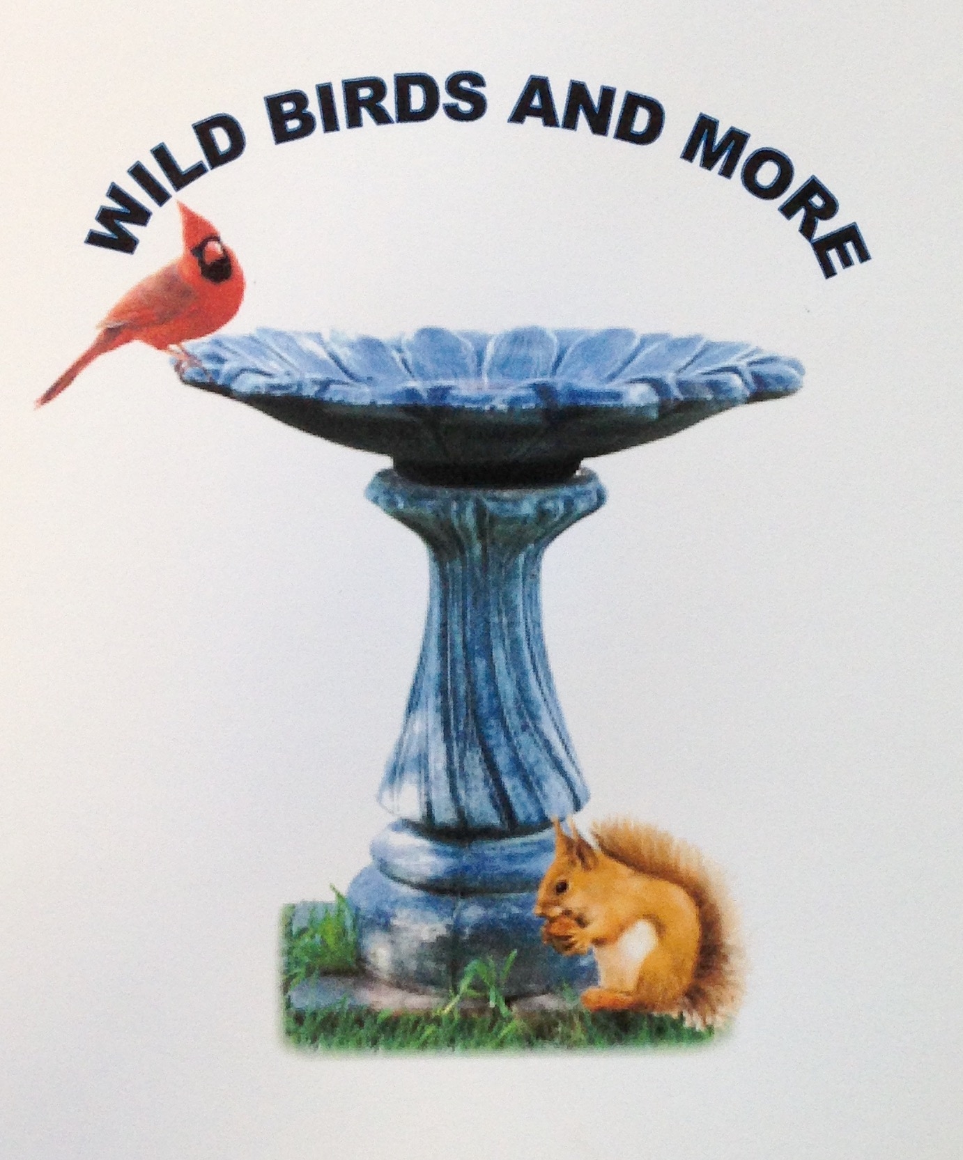 Bird Feeders — Wild Birds & More