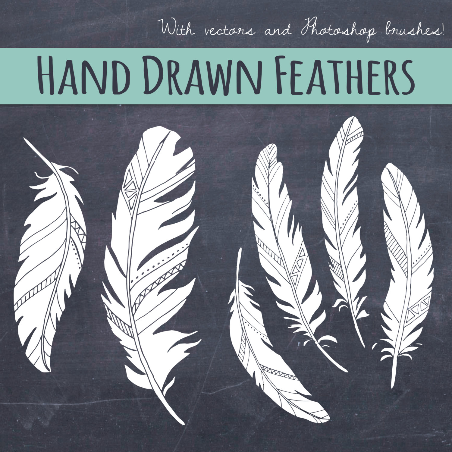 Photoshop clipart bird feather - Pencil and in color photoshop ...