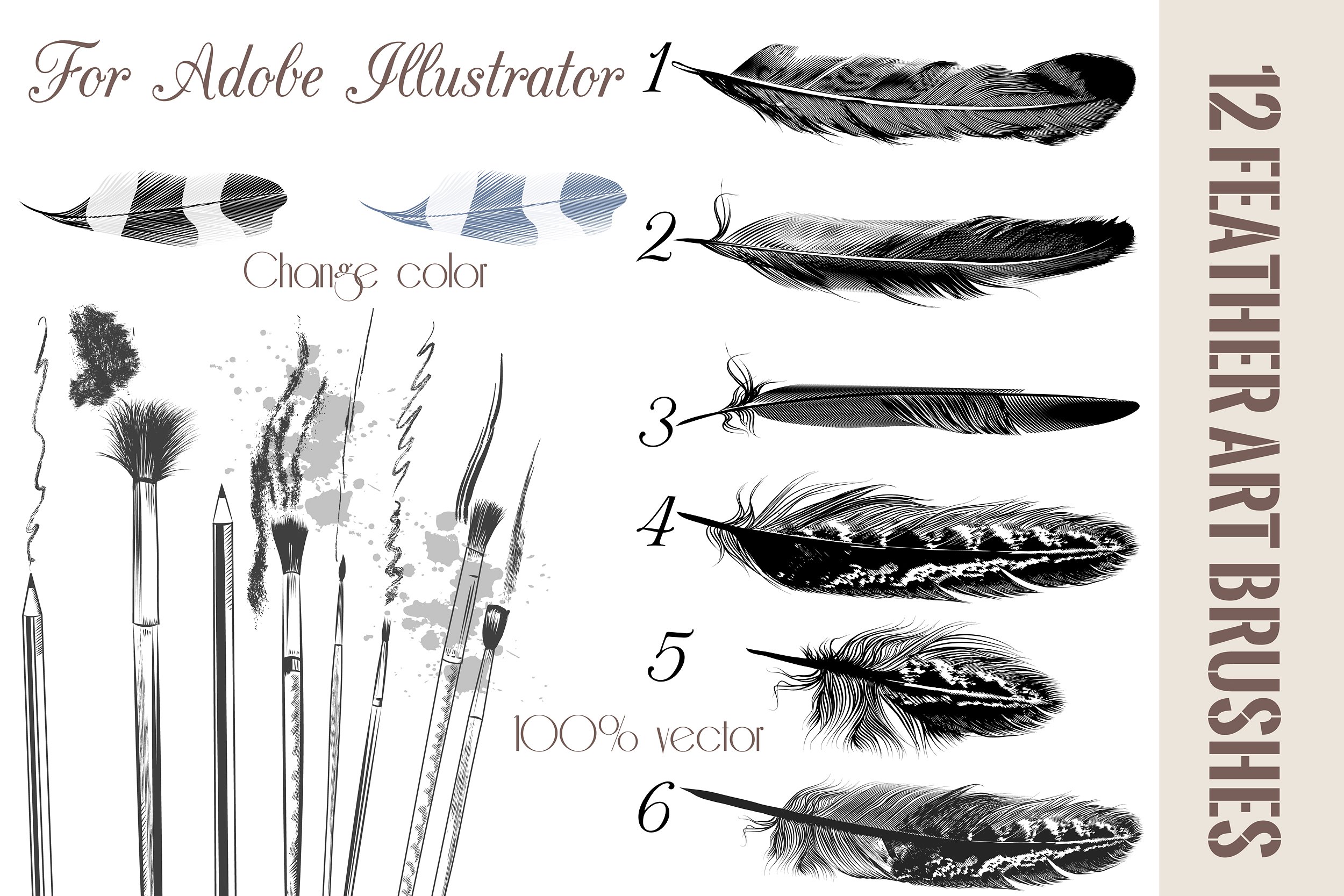 Feather brushes for illustrator ~ Brushes ~ Creative Market