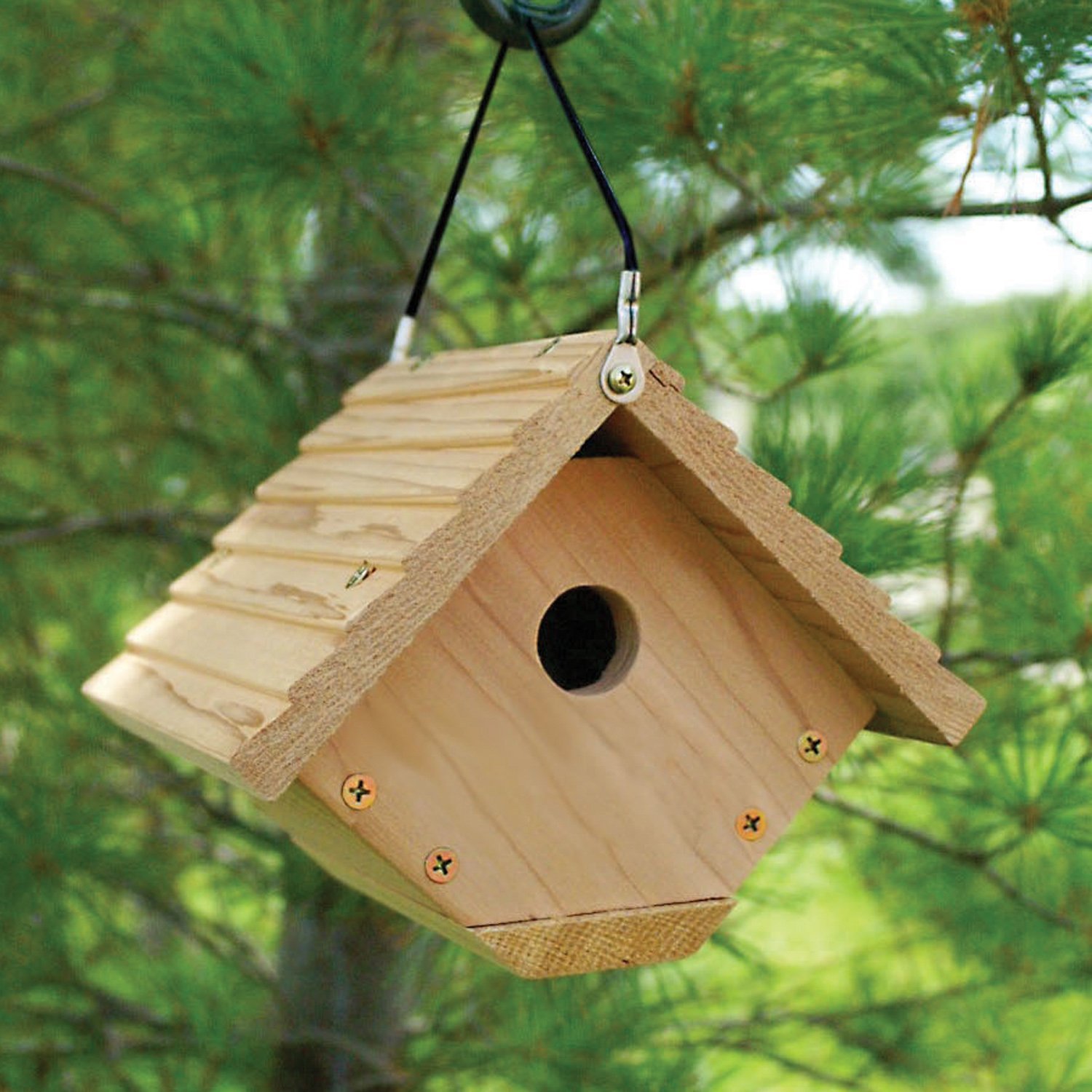 Amazon.com : Audubon Traditional Wren House Model NAWREN : Birdhouse ...