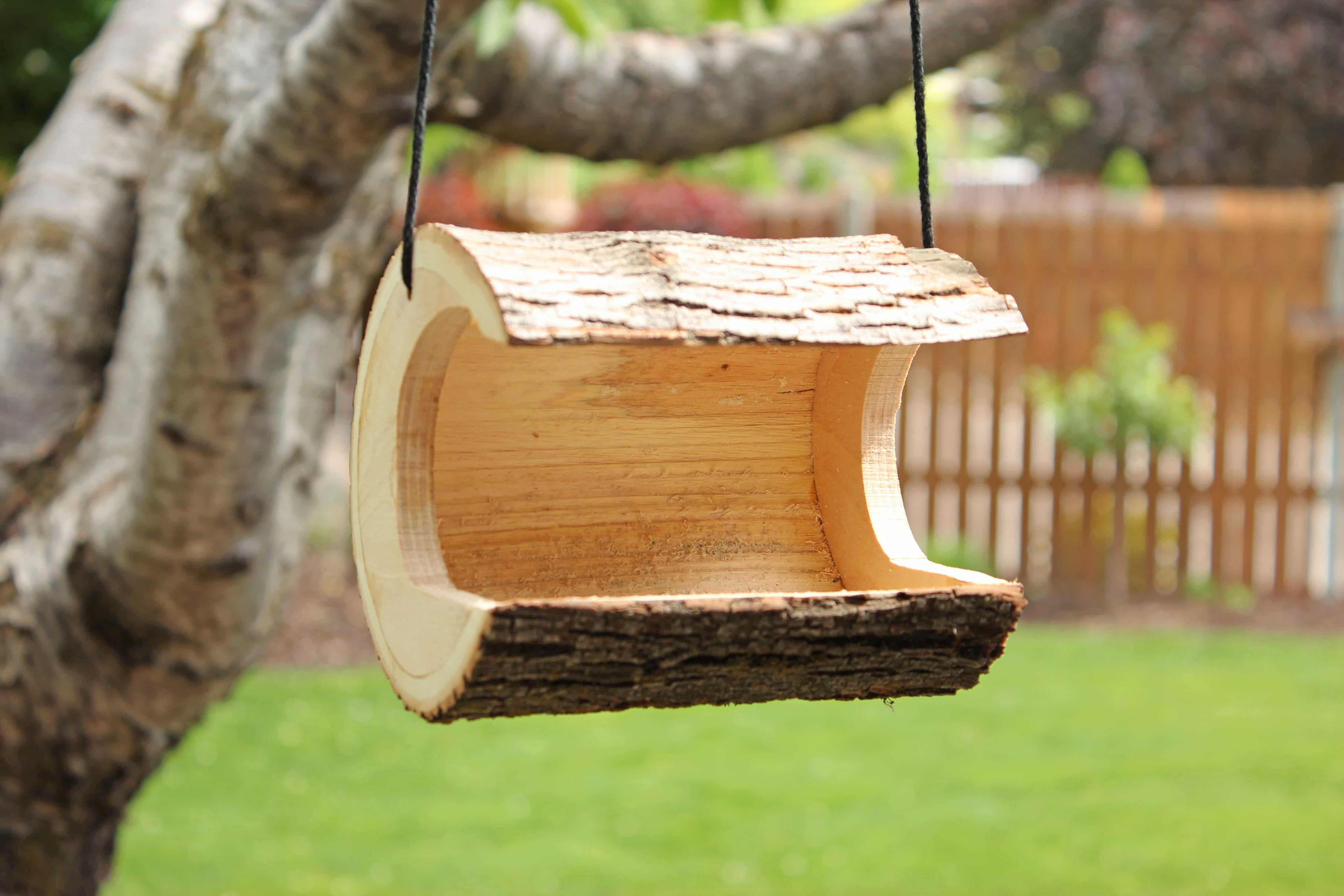 Unforgettable Log Bird Houses Pictures High Woodworking Plan For Two ...