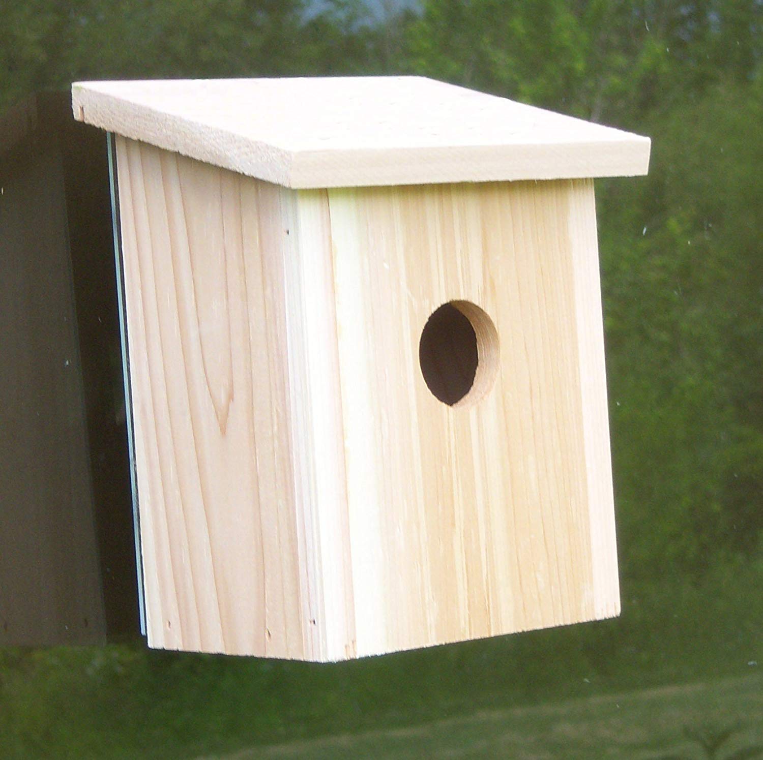 Amazon.com : Songbird Essentials Window Mounted Wooden Nest View ...