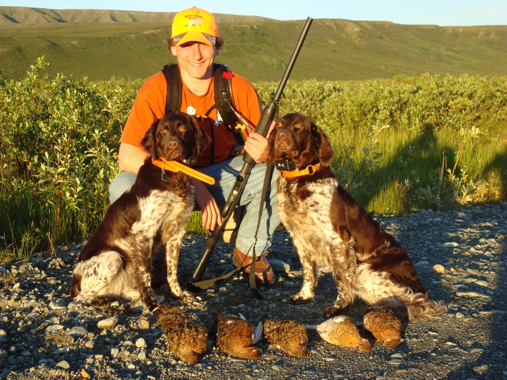 Upland Bird Hunting