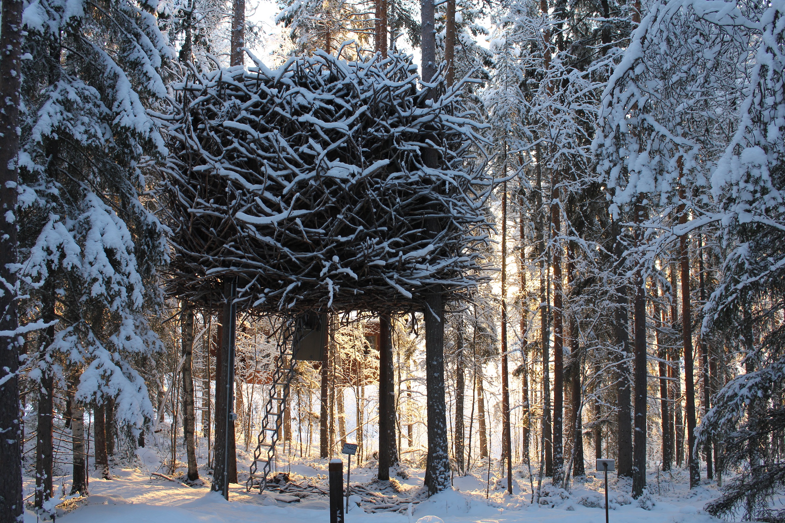 Treehotel.se - The Bird's Nest