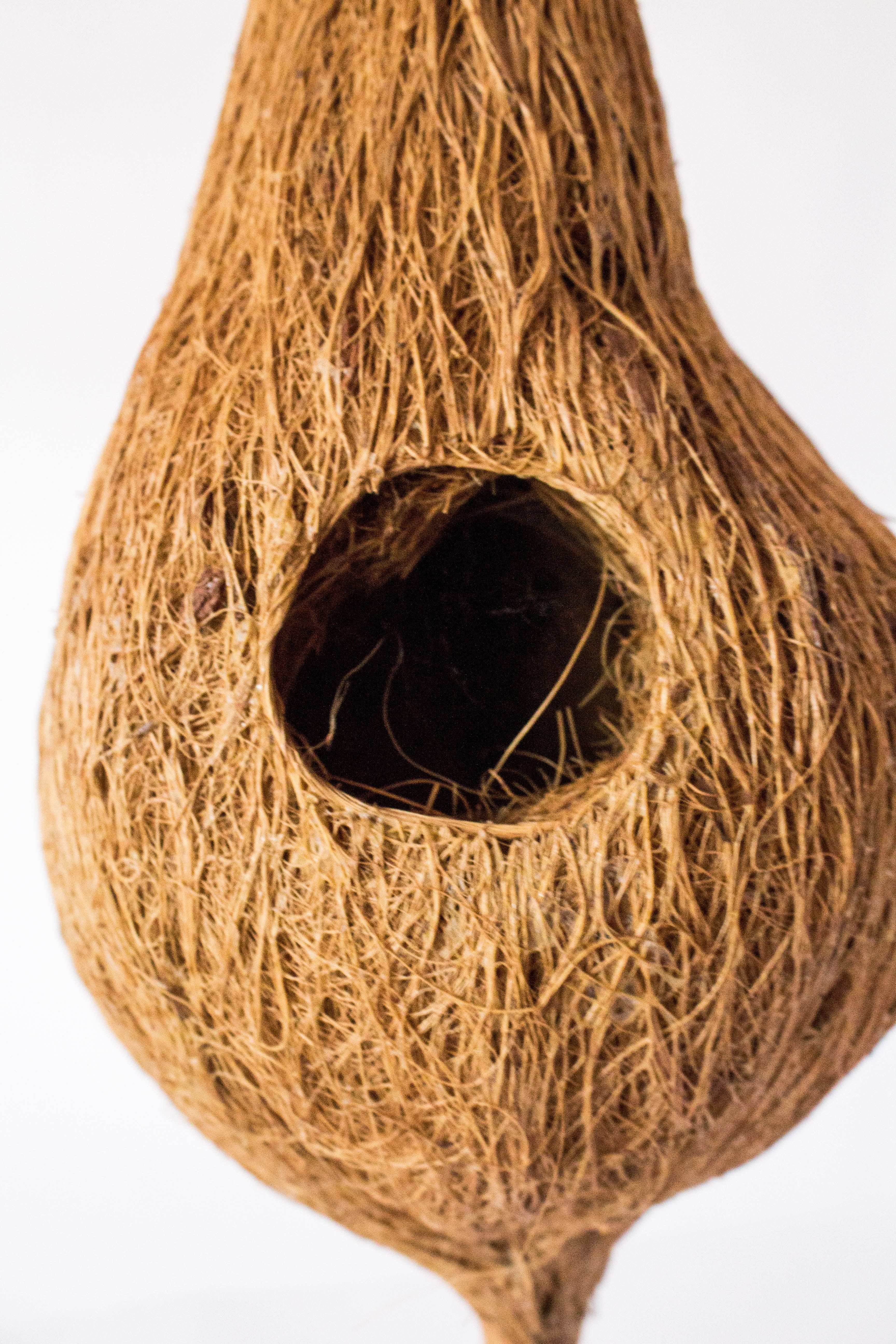 Handmade Natural Coir Bird Nest | Kerducts
