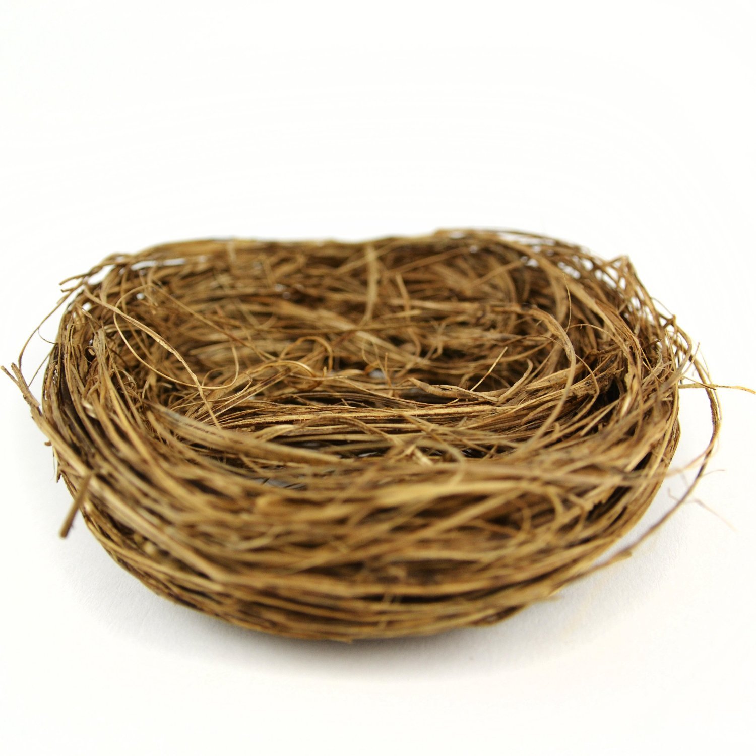Amazon.com: Creative Hobbies Natural Twig Birds Nests 4 inch -Great ...