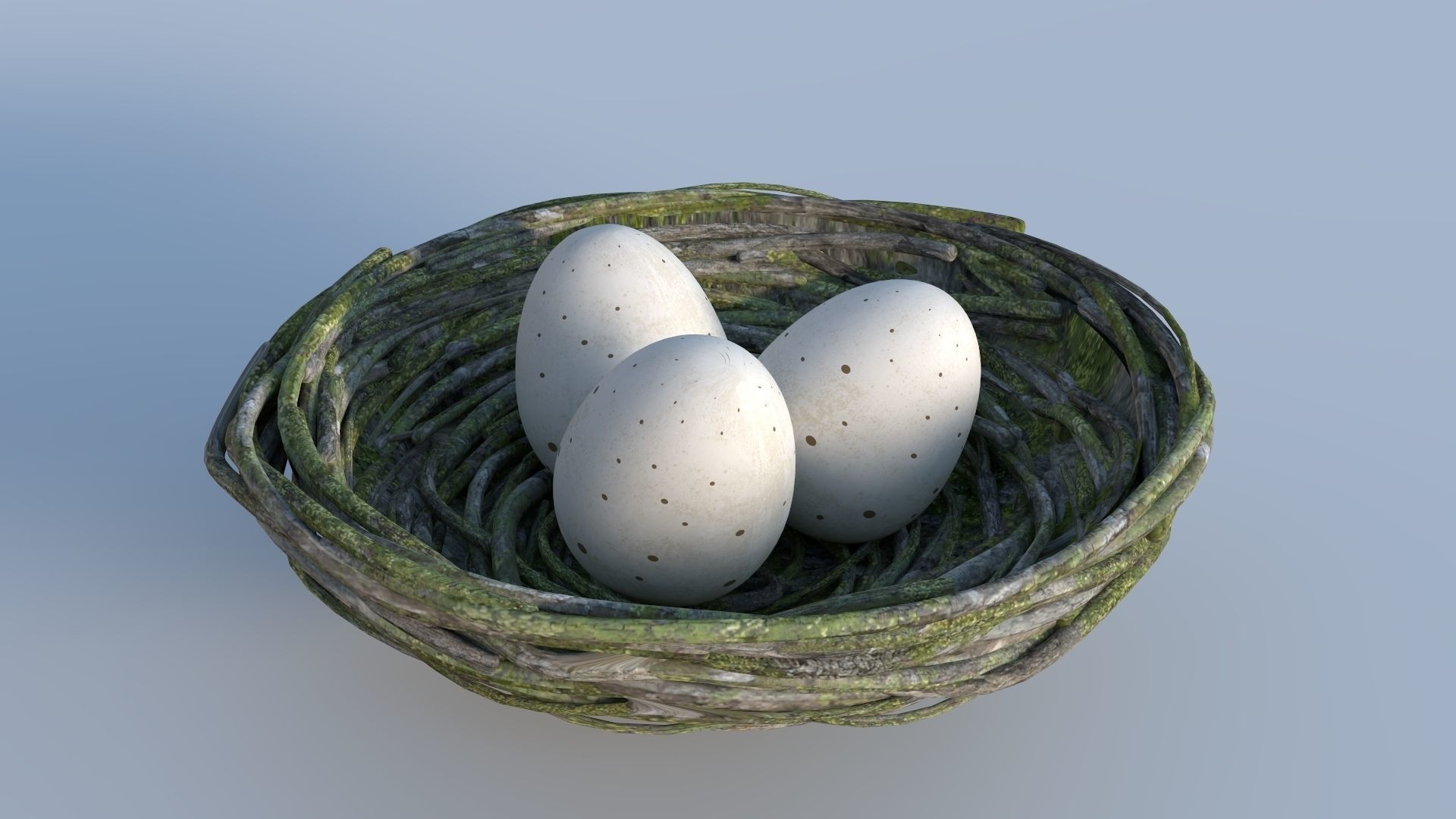 Bird Nest 3D | CGTrader