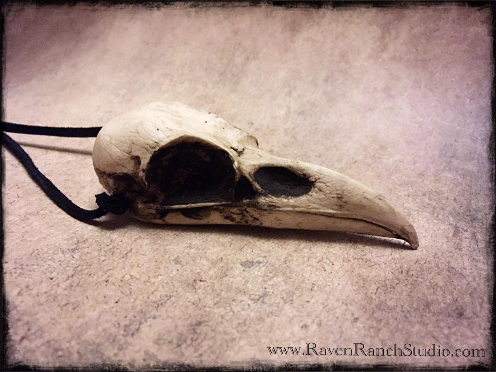 Raven Skull Necklace Resin Replica Unusual Gift Goth