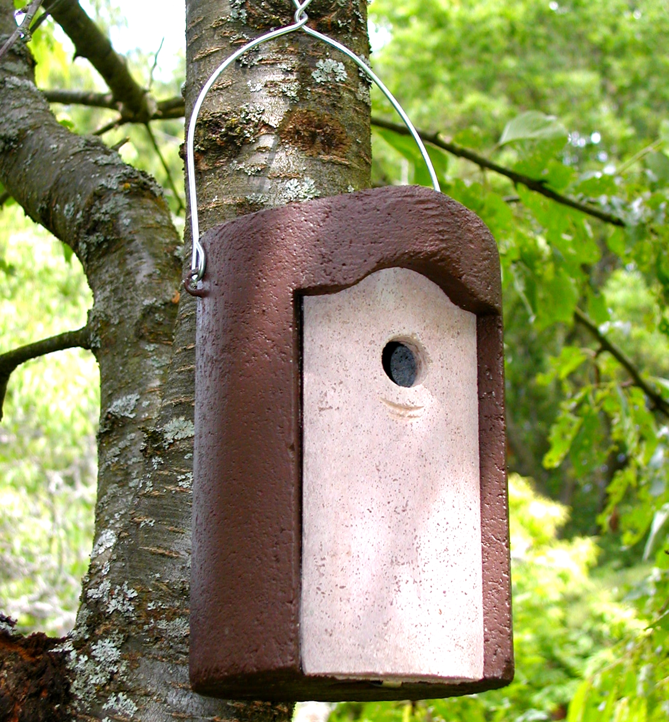 Schwegler 1B Bird Box - 26mm hole - Wildcare Ecology Supplies