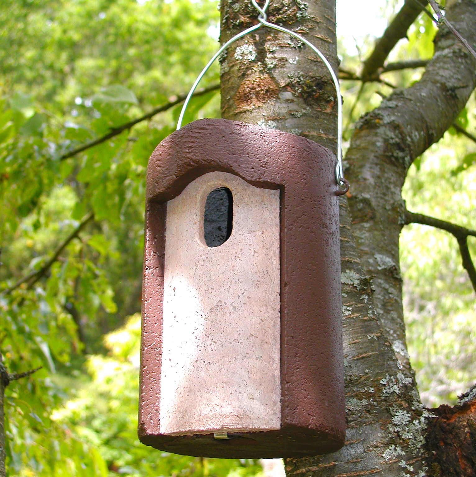 Schwegler 1B Bird Box - Oval hole - Wildcare Ecology Supplies