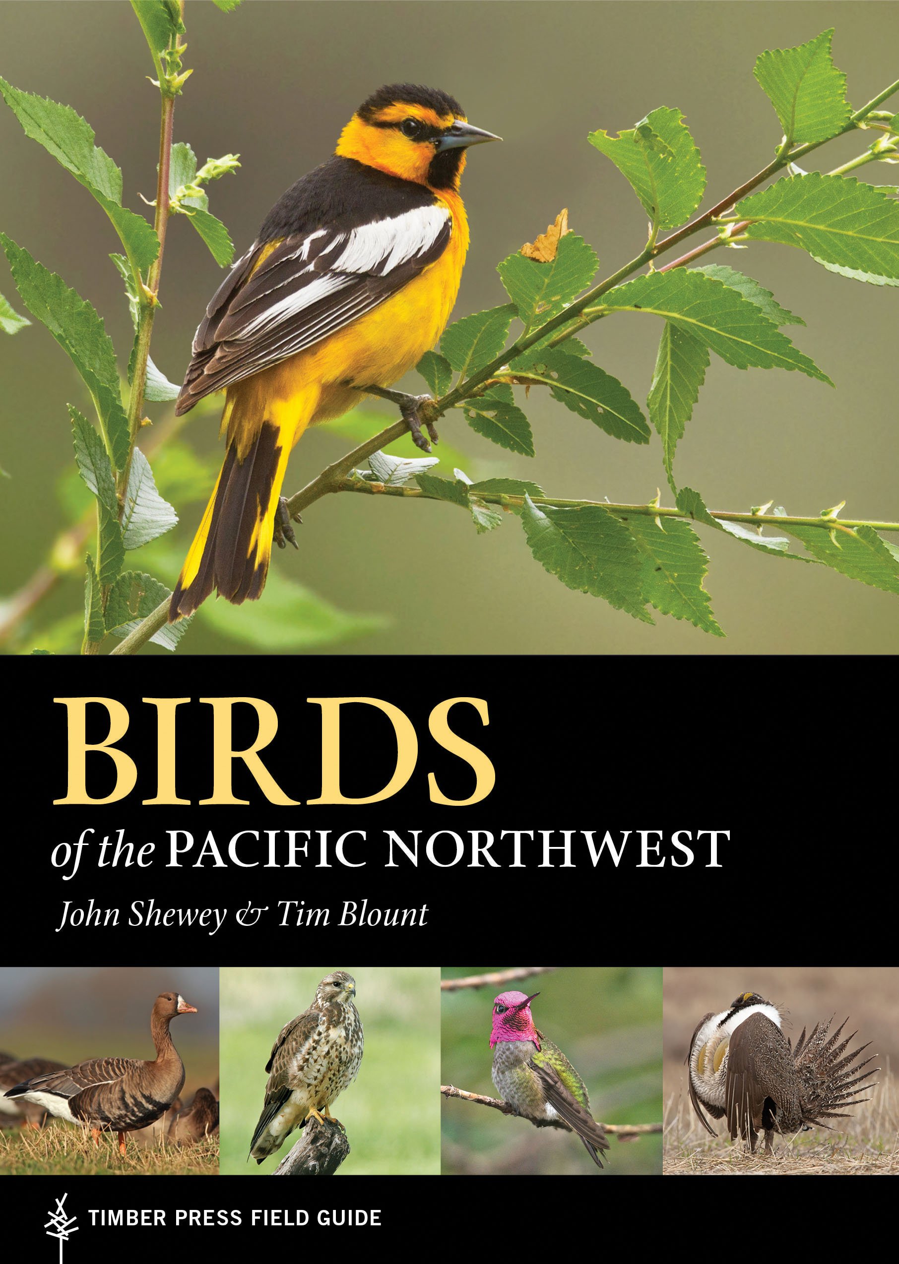 Birds of the Pacific Northwest: Timber Press Field Guide from Timber ...