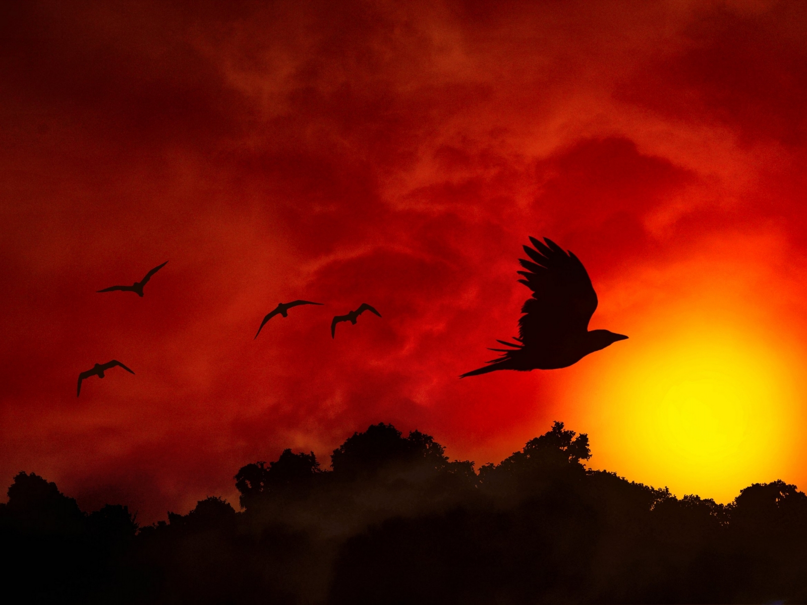 Birds flying at sunset – Three Things