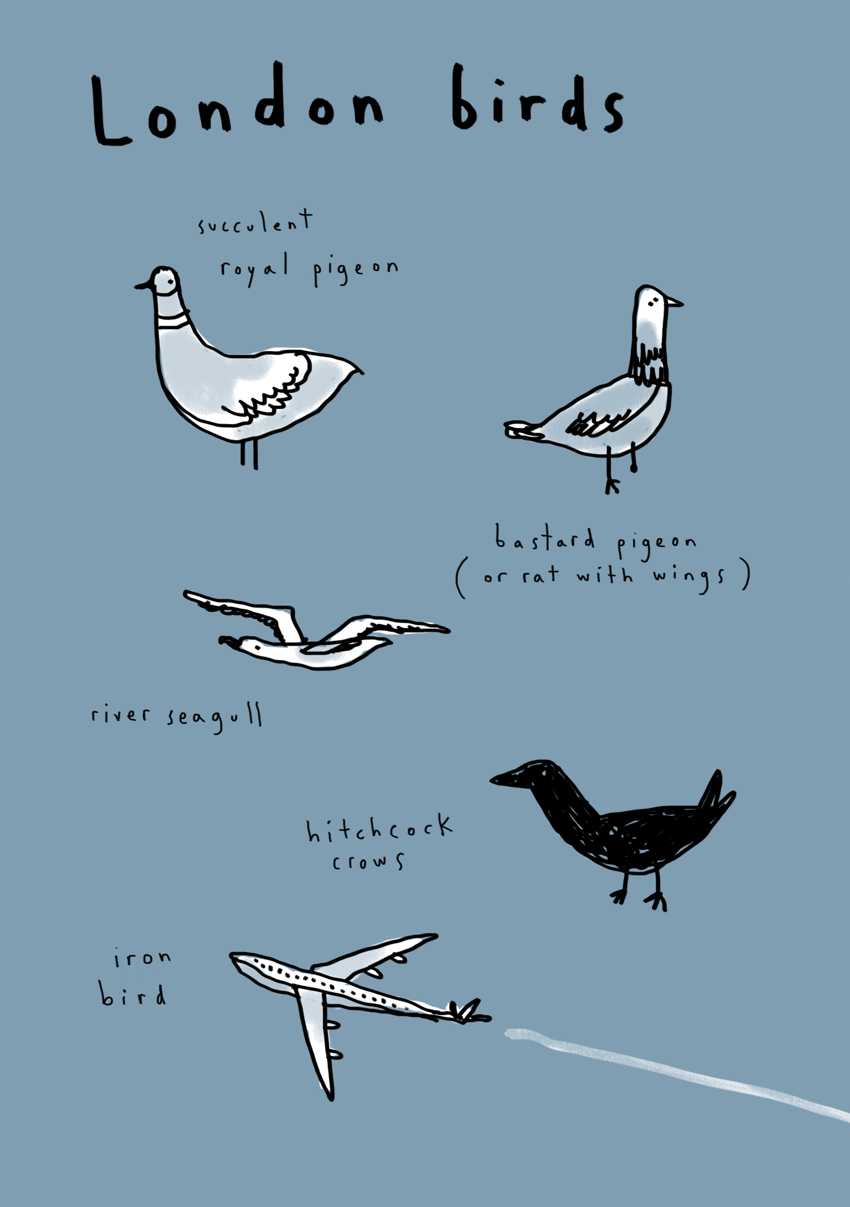 London birds | English Drawings