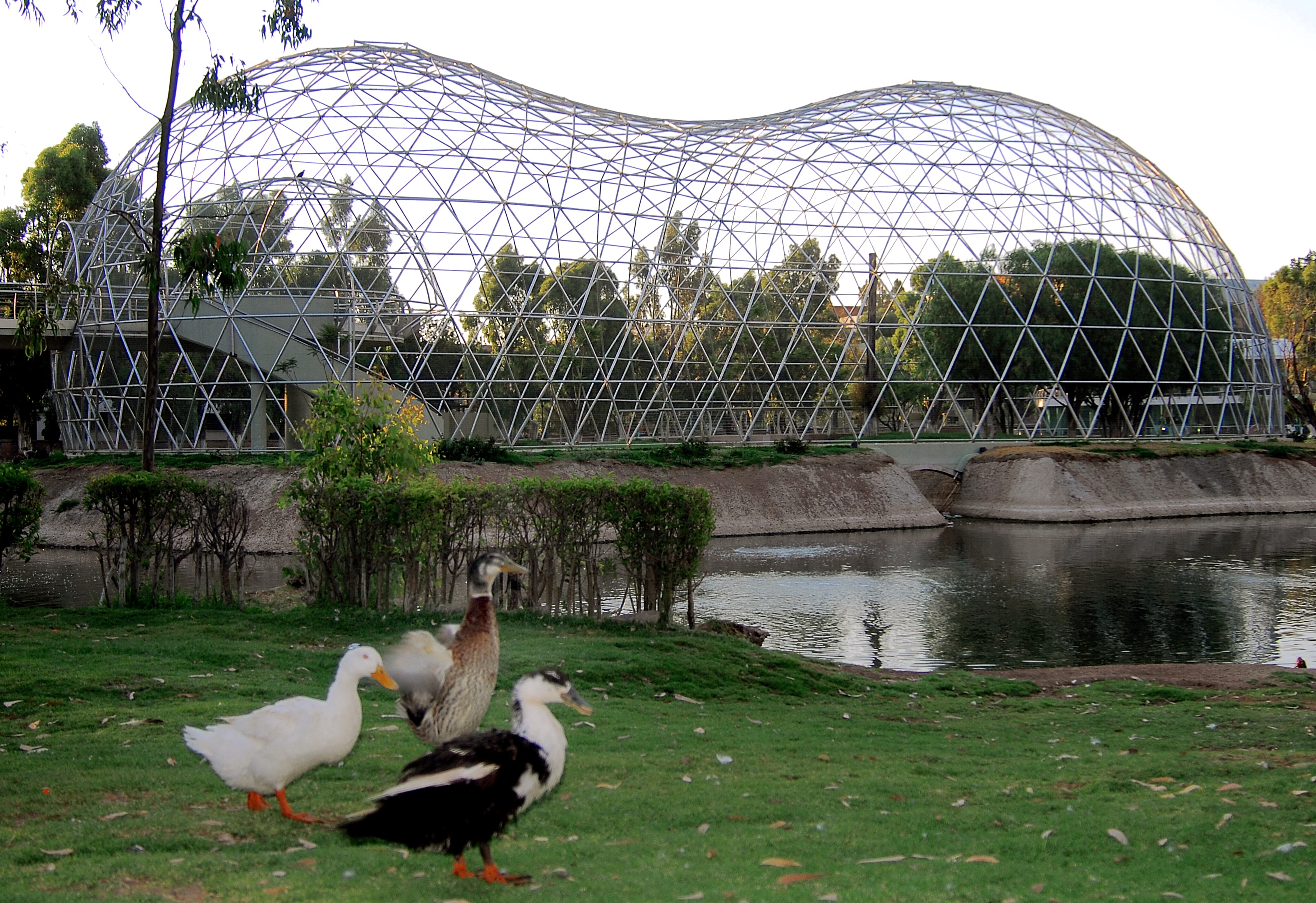 Aviaries Domes Manufacturer | Home Aviary Design | Geo Domes