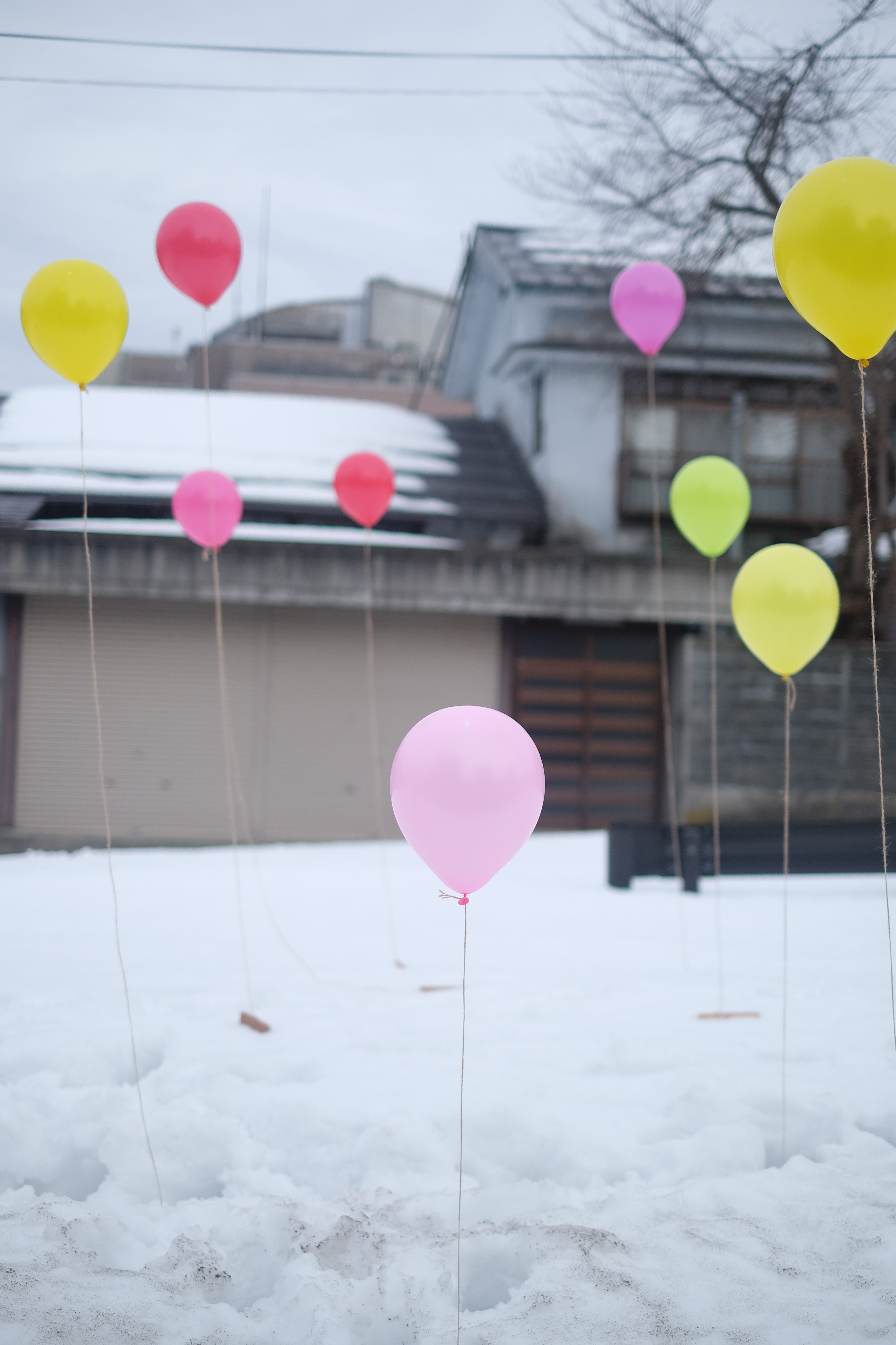 Birthday, Balloon, Birth, Happy, Ice, HQ Photo