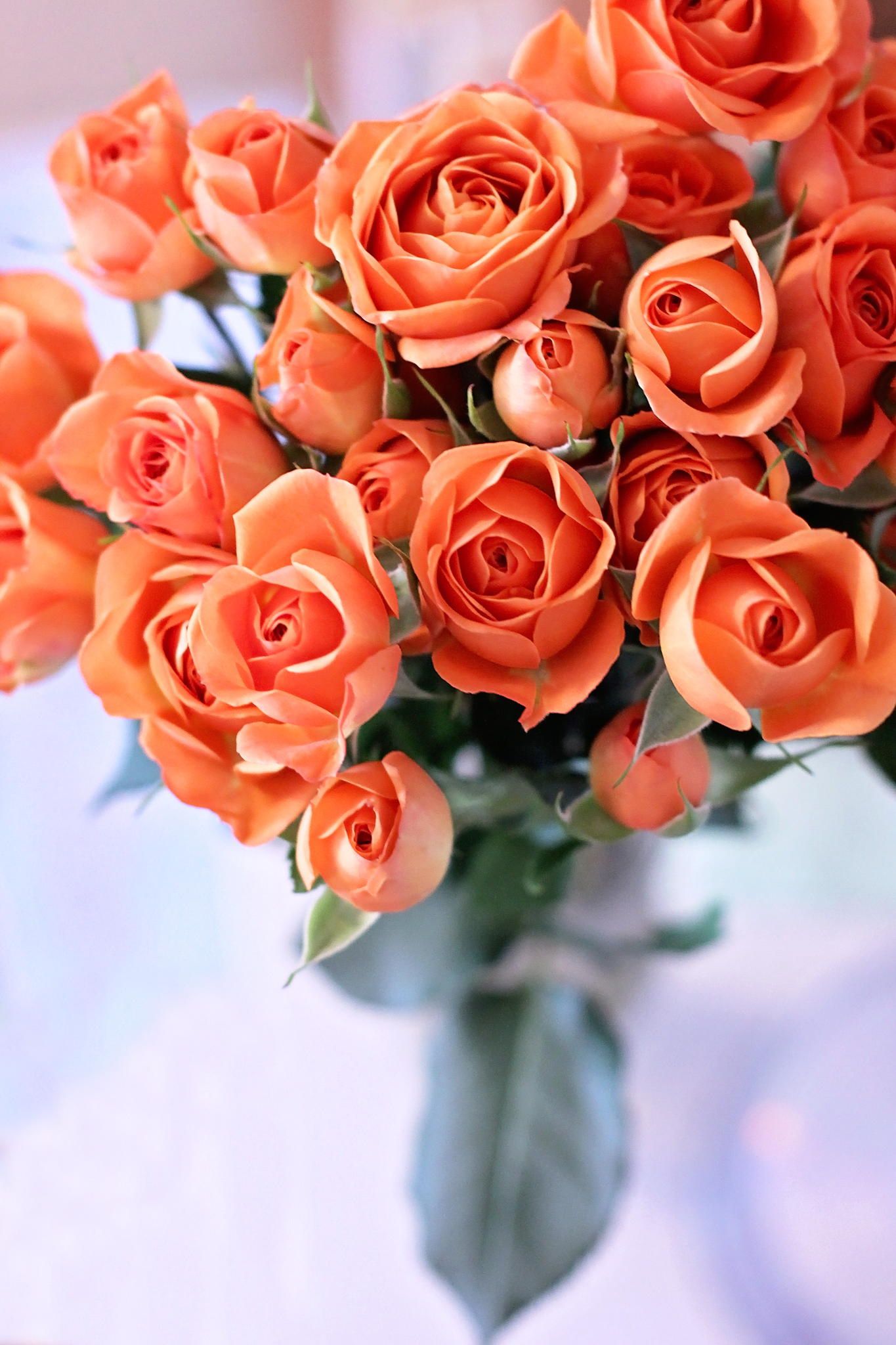 Birthday bouquet by AbigailJoy on 500px | Rose | Pinterest | Flowers ...