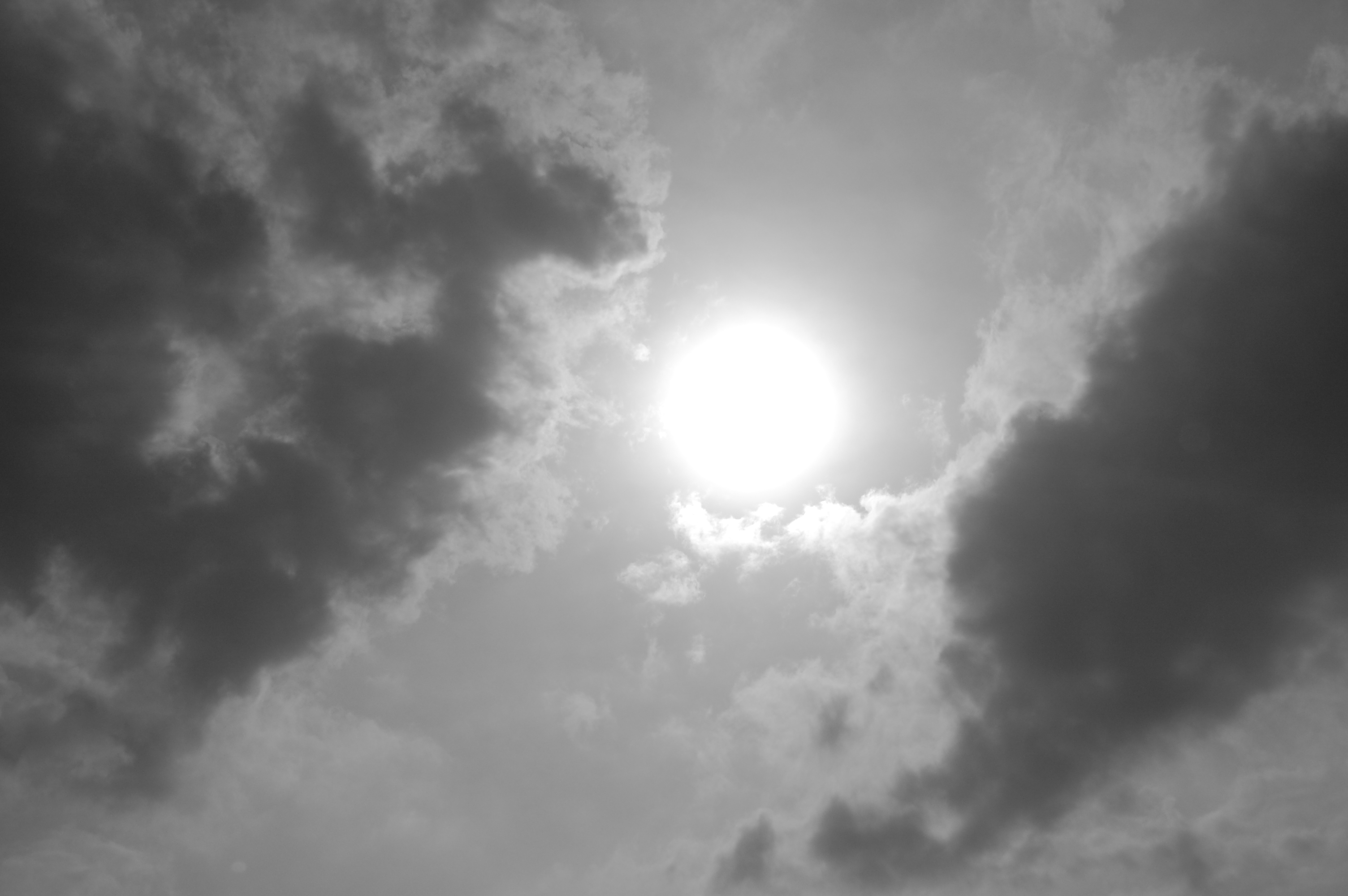 Black & white sun photo