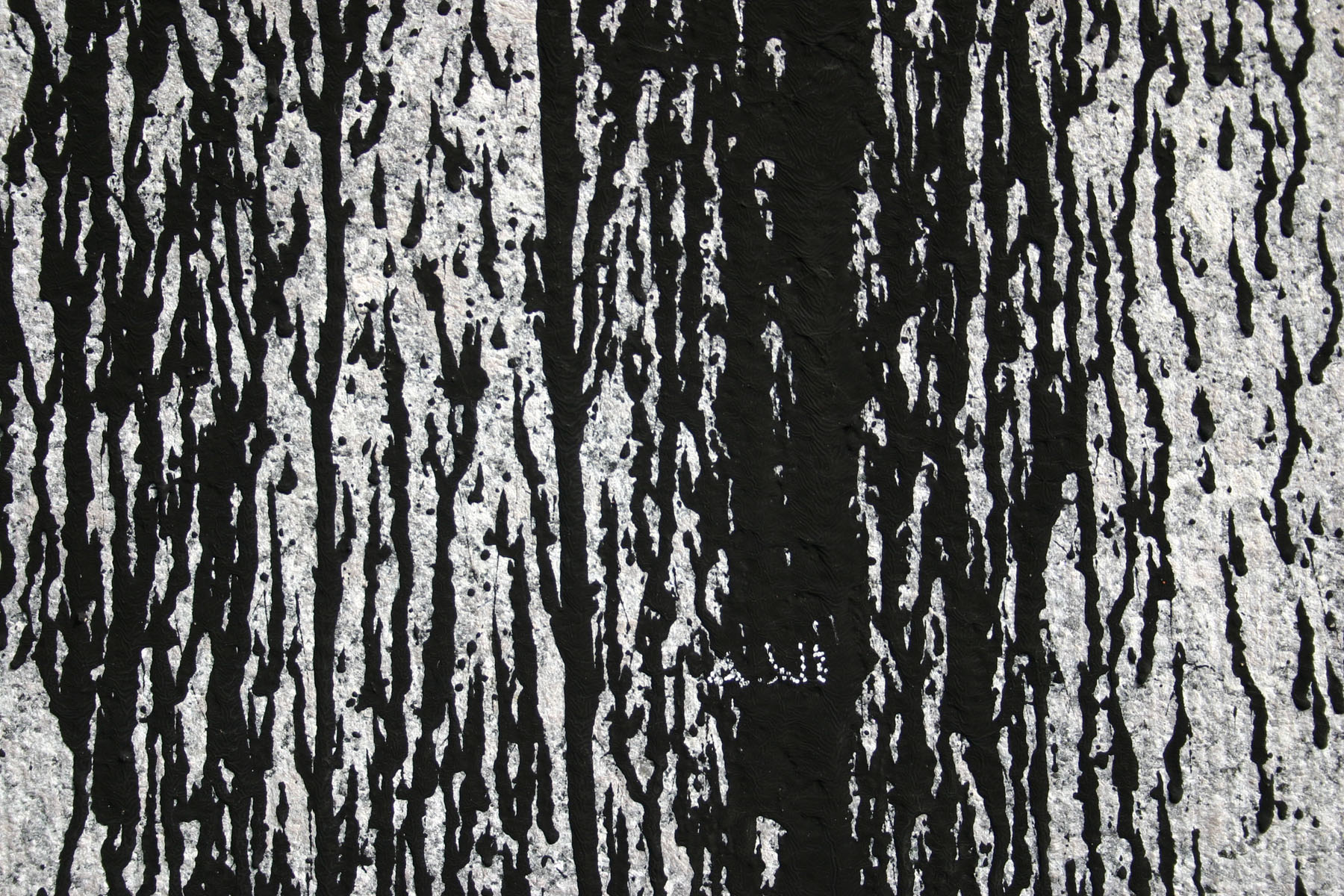 Black & white texture photo