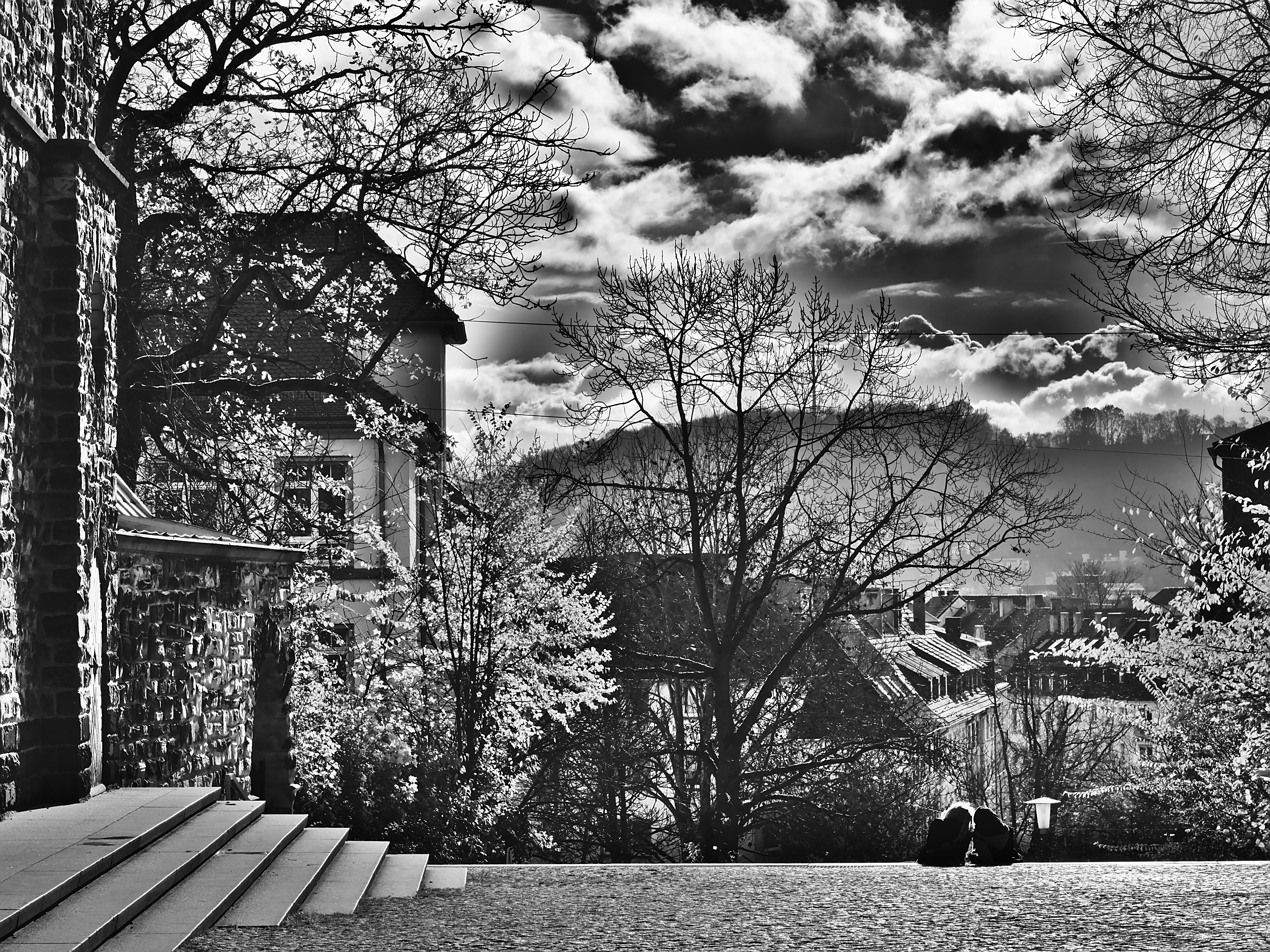 Black and White Photo of Trees, Black-and-white, Clouds, Cloudy, Houses, HQ Photo
