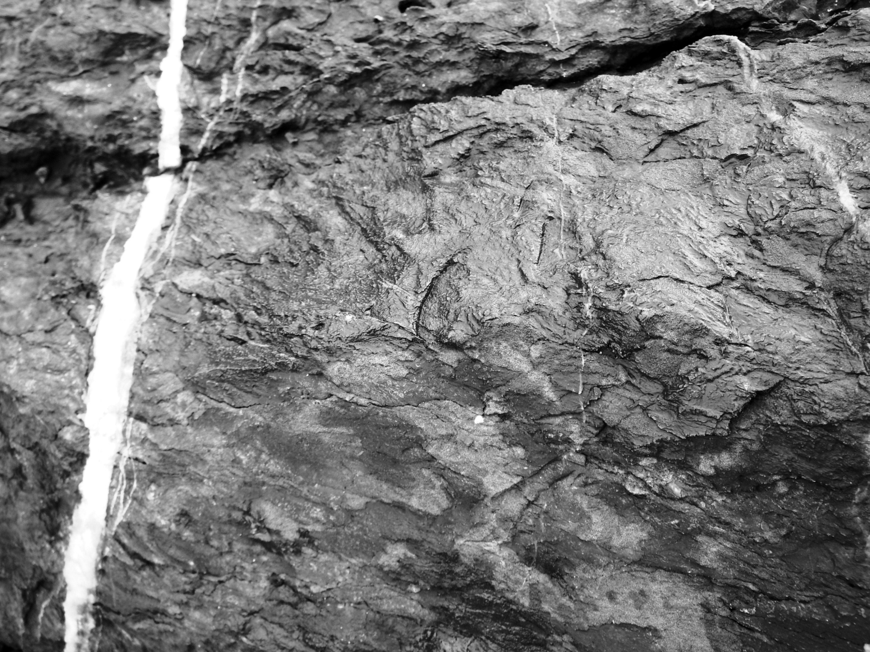 Black and white rock texture photo