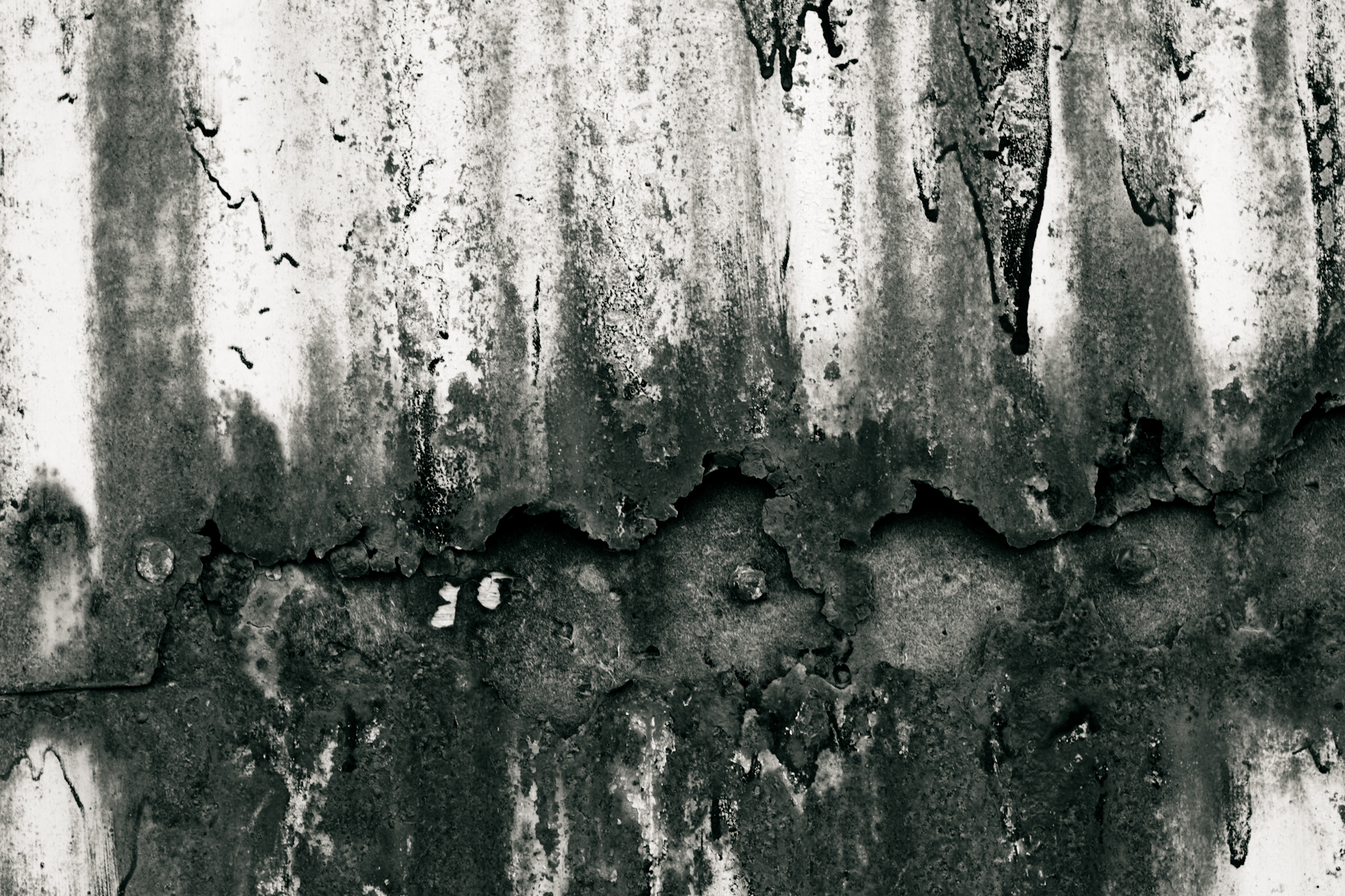 Black and white rust фото 1