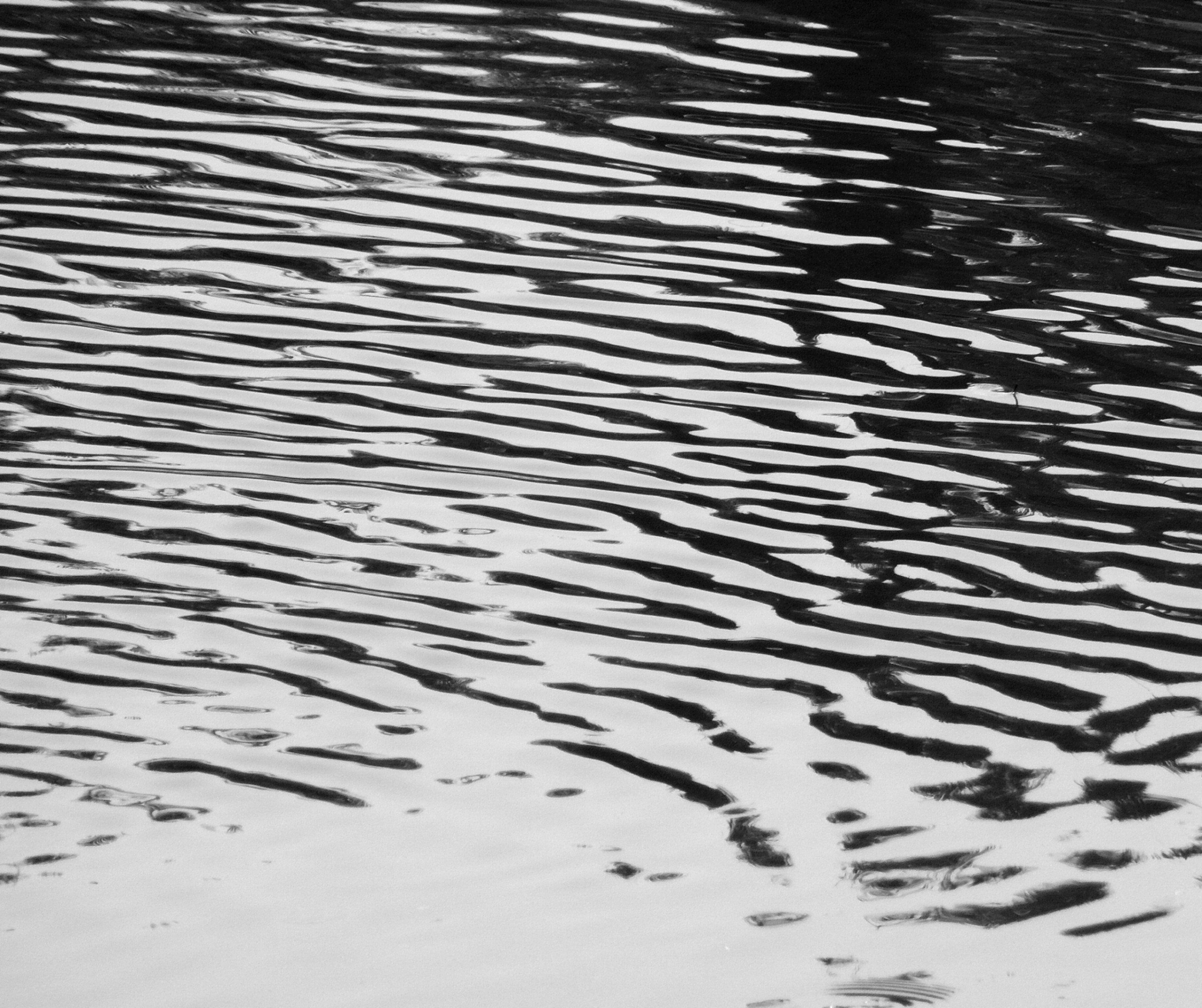 Black and white water ripples photo