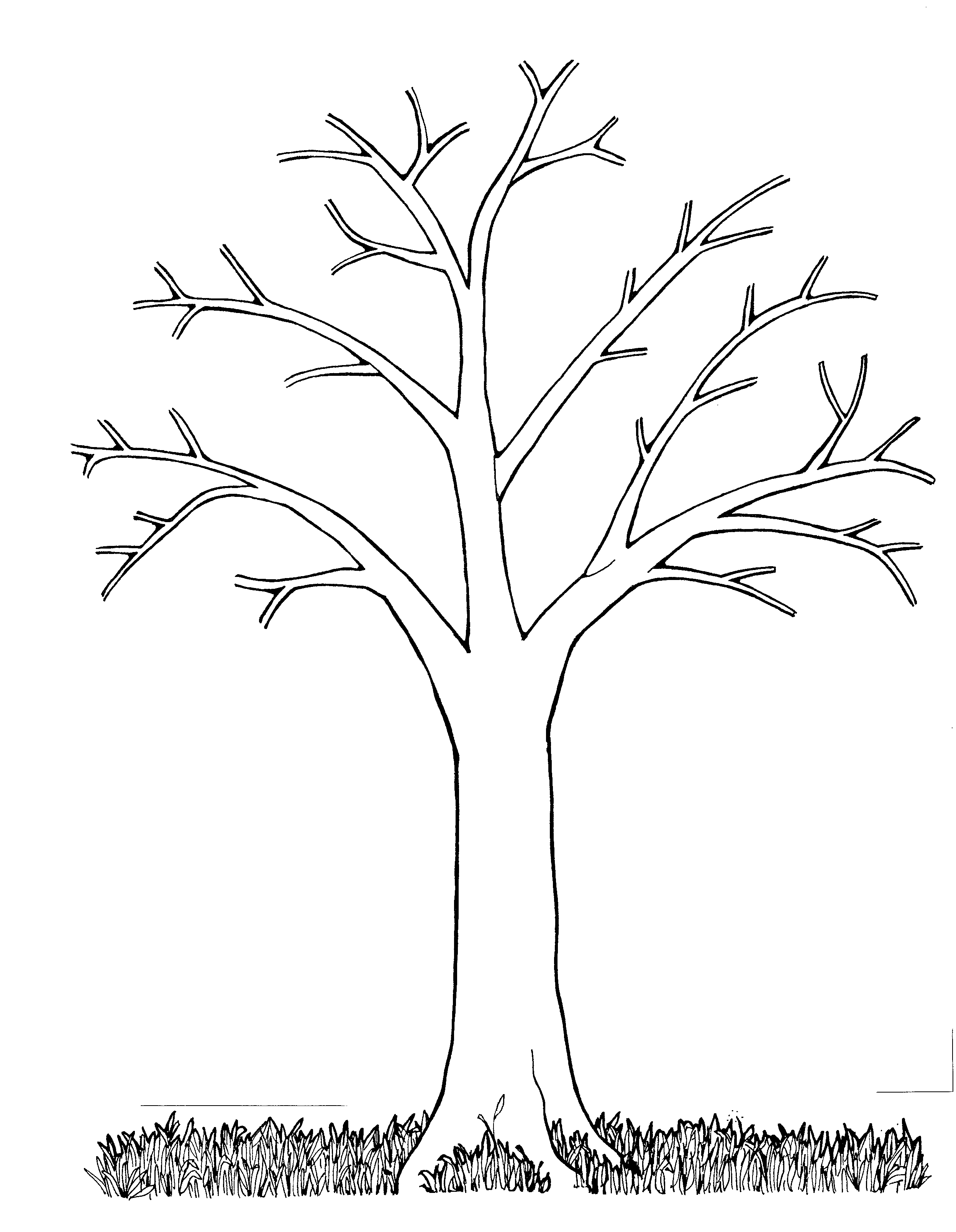 Mormon Share } Tree Bare | Fall trees, White image and Clip art