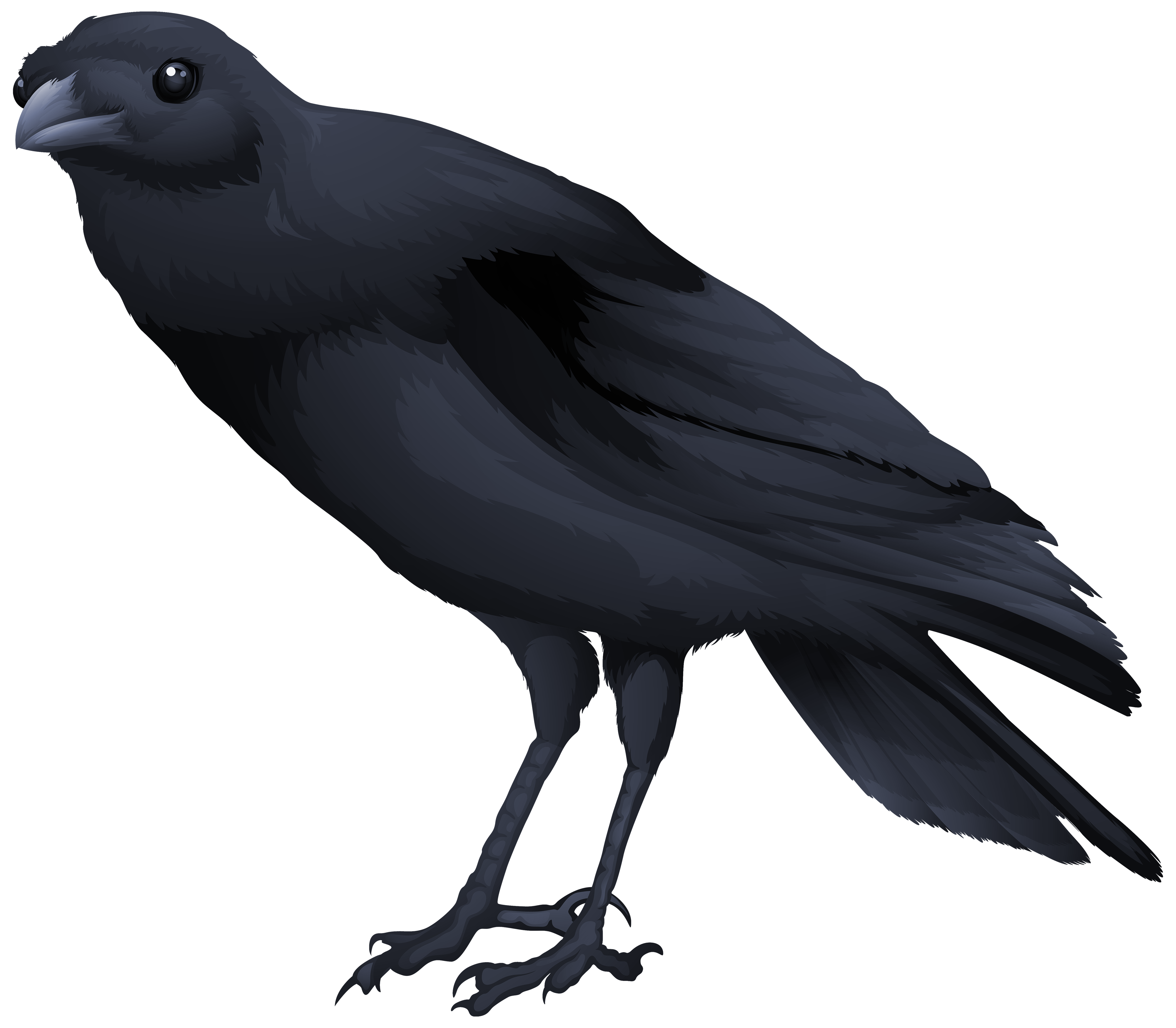 Black Bird PNG Clipart Image | Gallery Yopriceville - High-Quality ...
