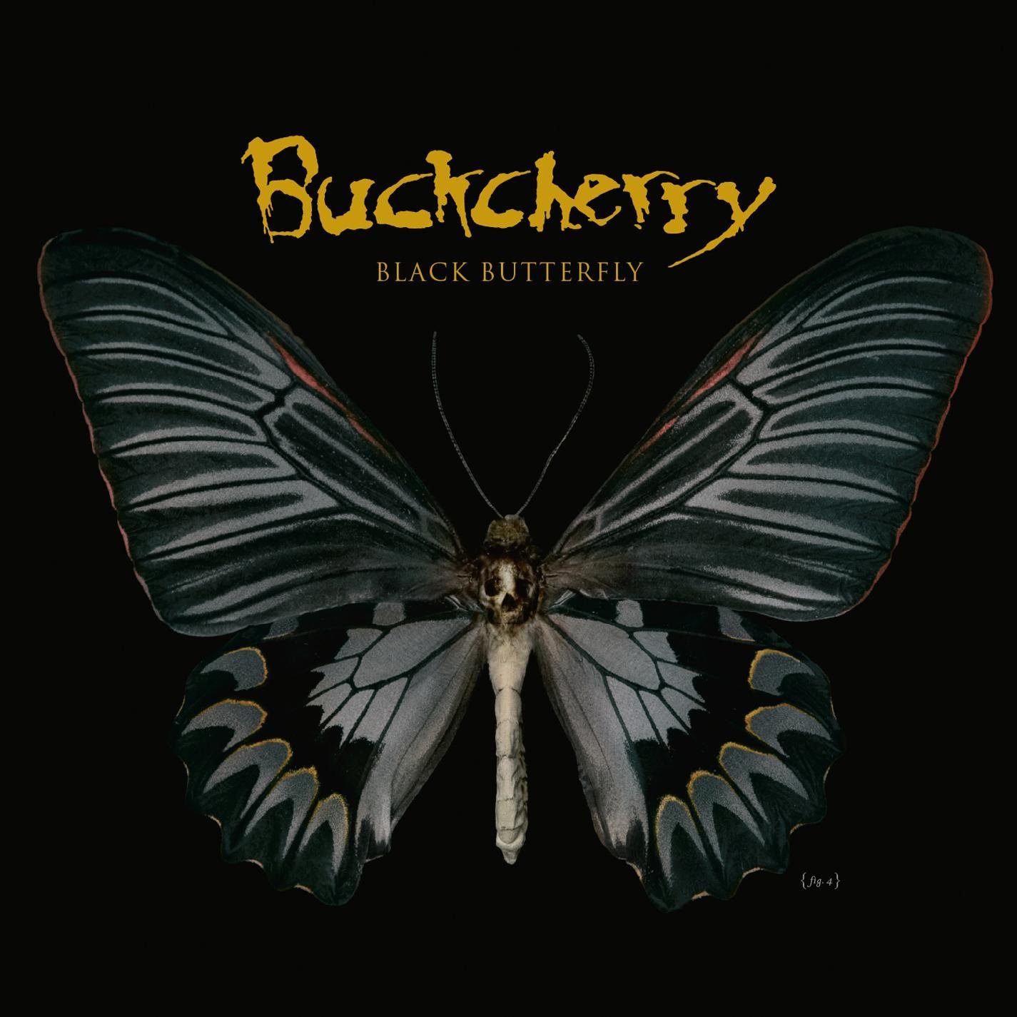 Buckcherry - Black Butterfly - Amazon.com Music