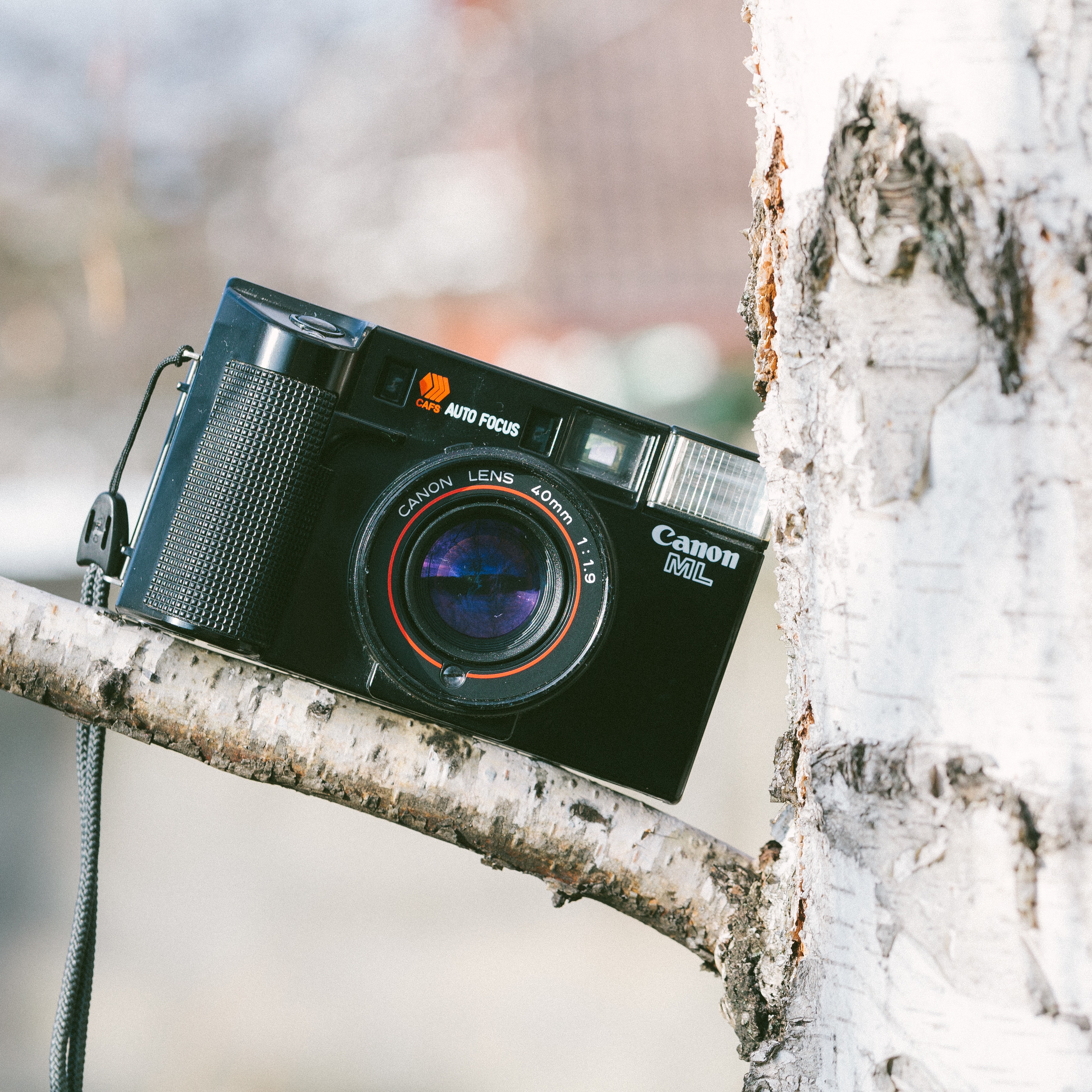 Black Canon Camera, Analog, Outdoors, Vintage, Tree, HQ Photo