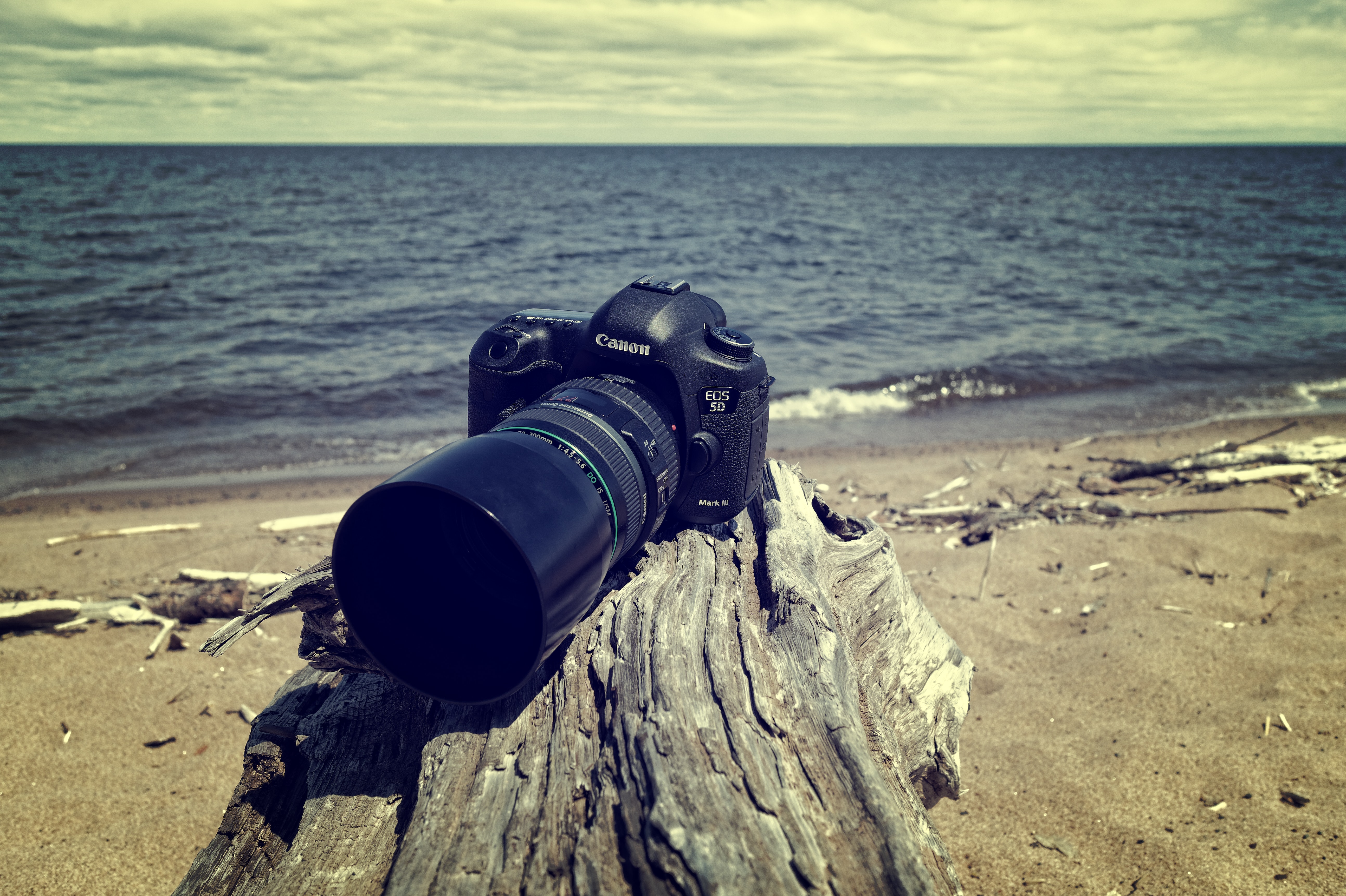 Black canon dslr camera near sea shore photo