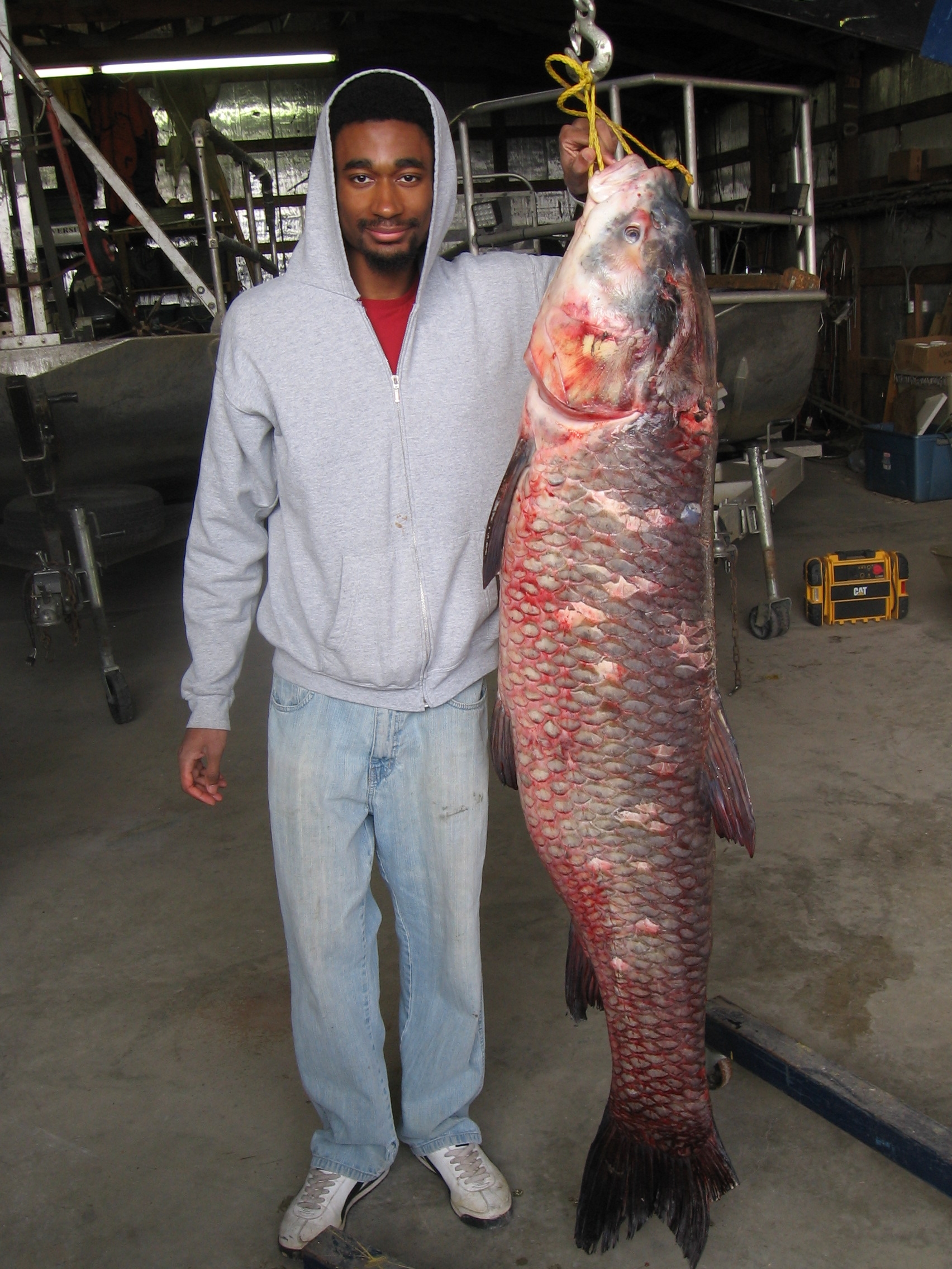 SIU receives 115-pound black carp specimen for invasive species study