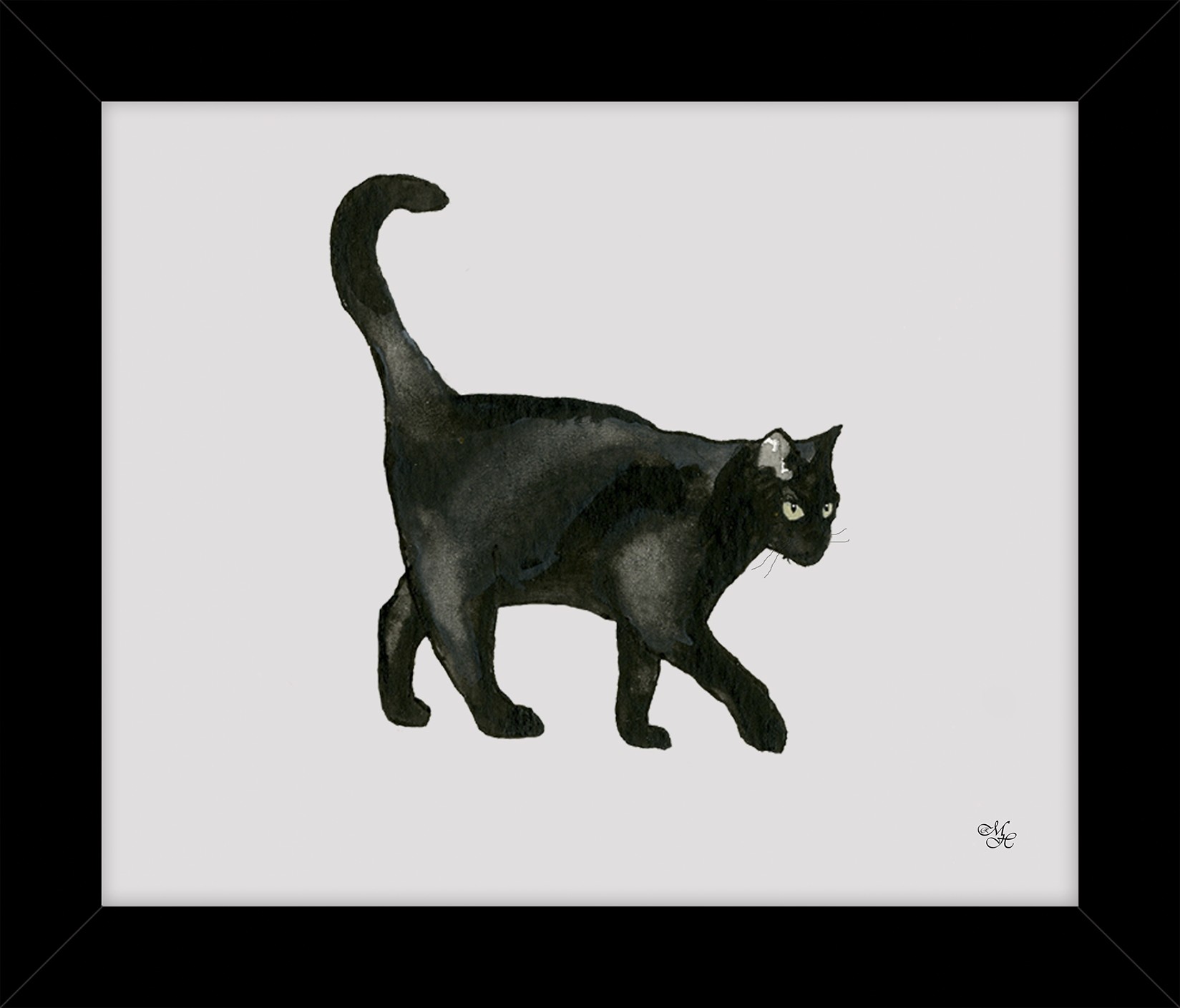 Black Cat by Matthew Haresnape | Pavilion Broadway