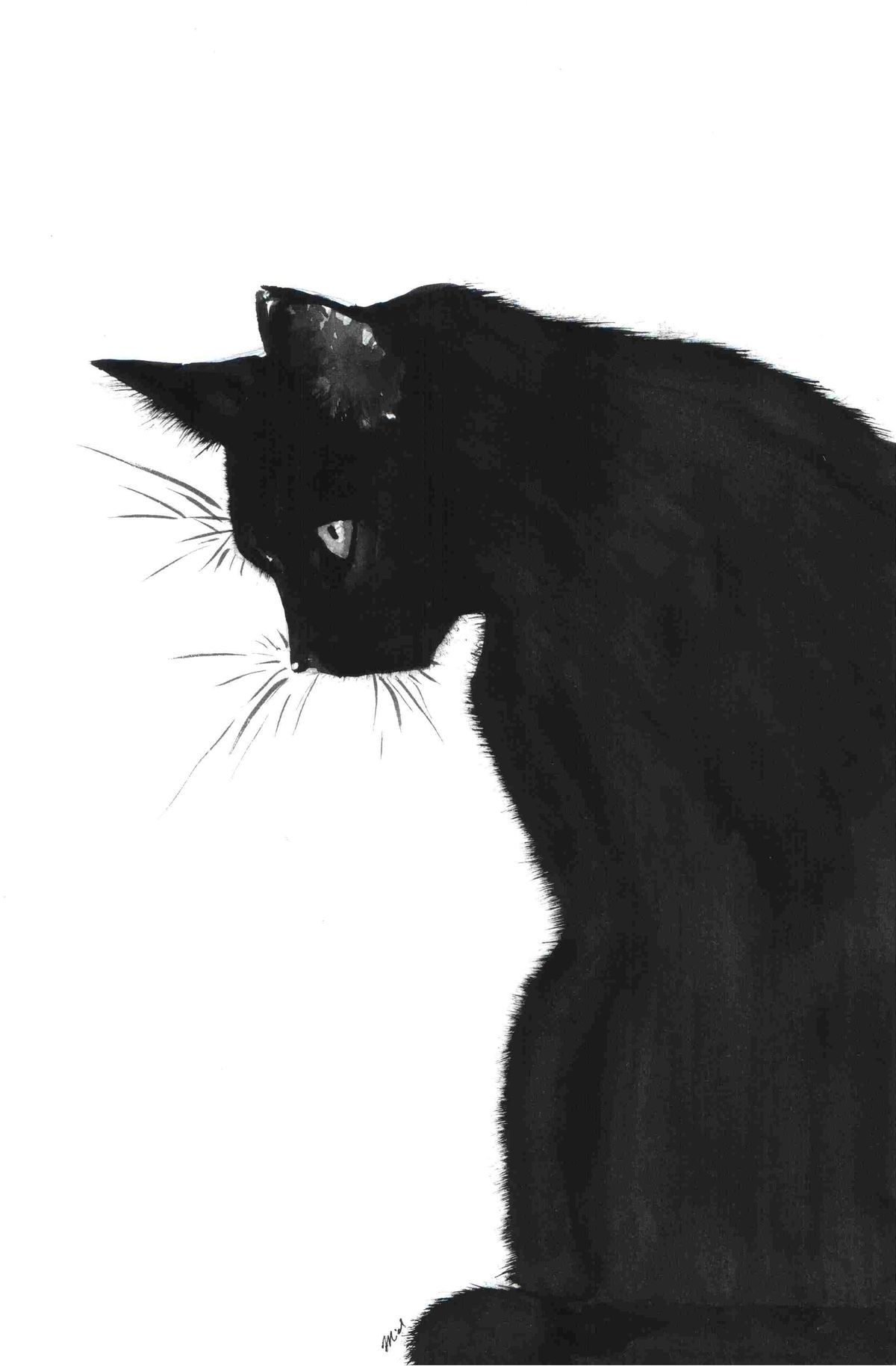 Russian black cat... | Gatos Negros | Pinterest | Black cats, Cat ...