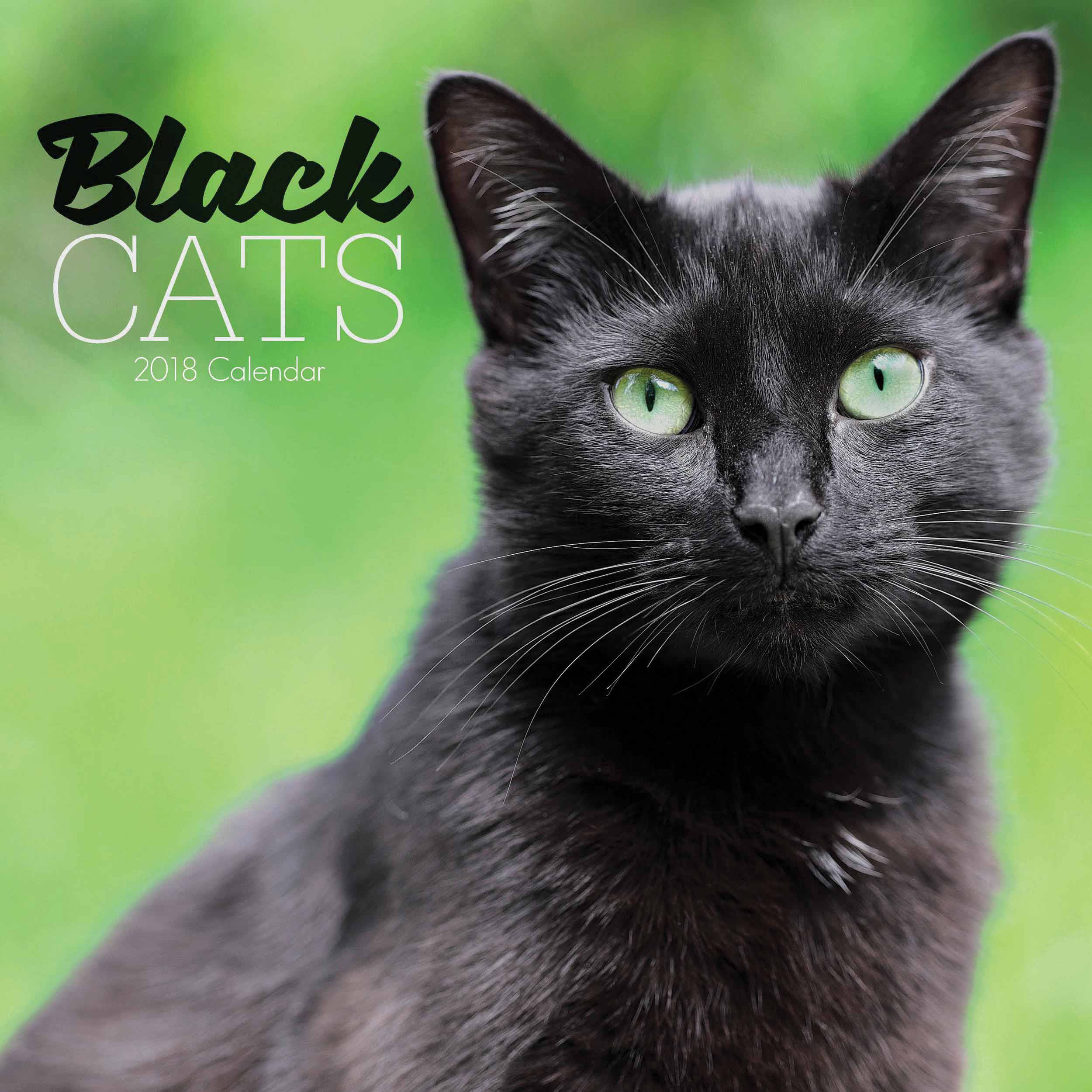 Black Cats Calendar 2018 - Calendar Club UK