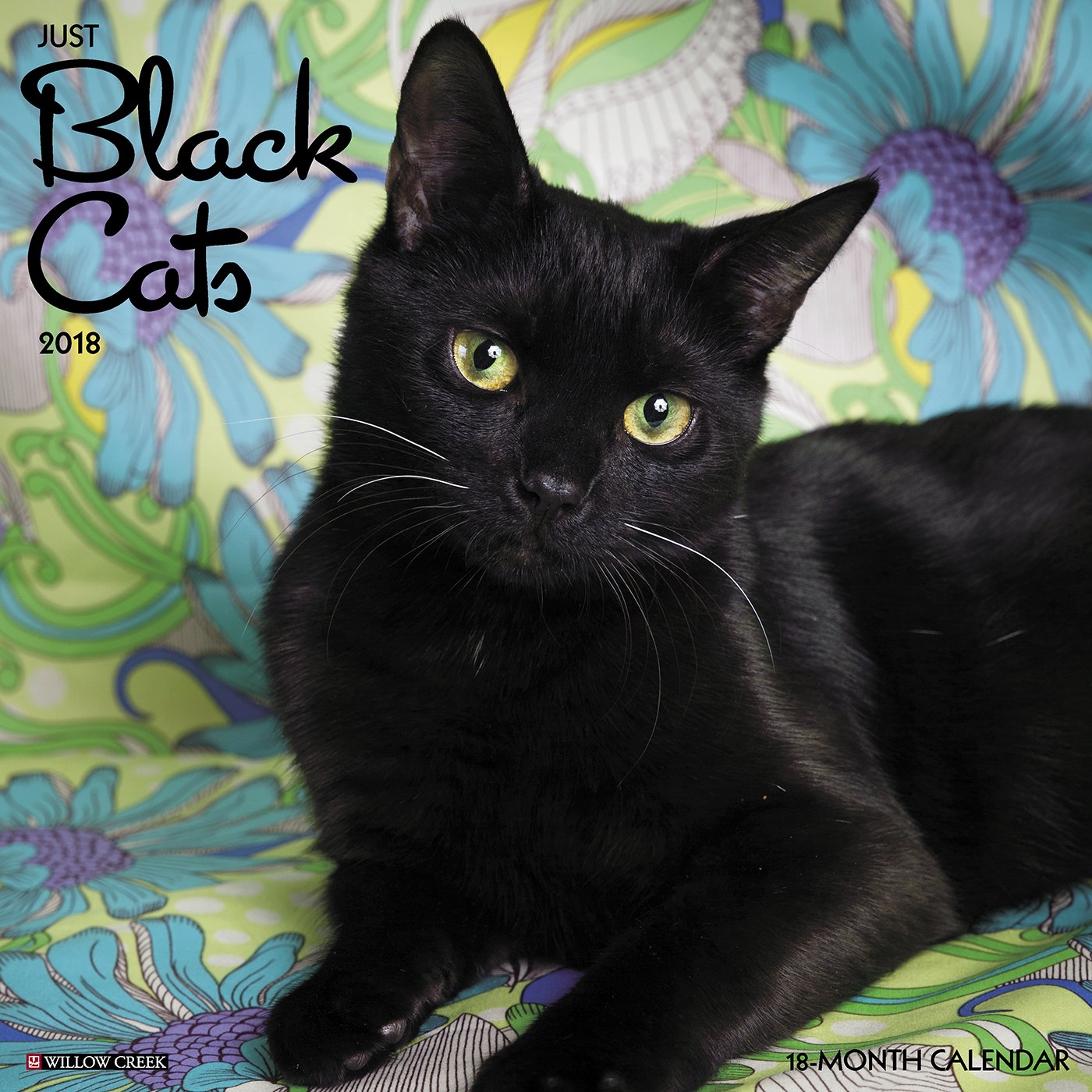 Just Black Cats 2018 Calendar: Willow Creek Press: 4011312083816 ...