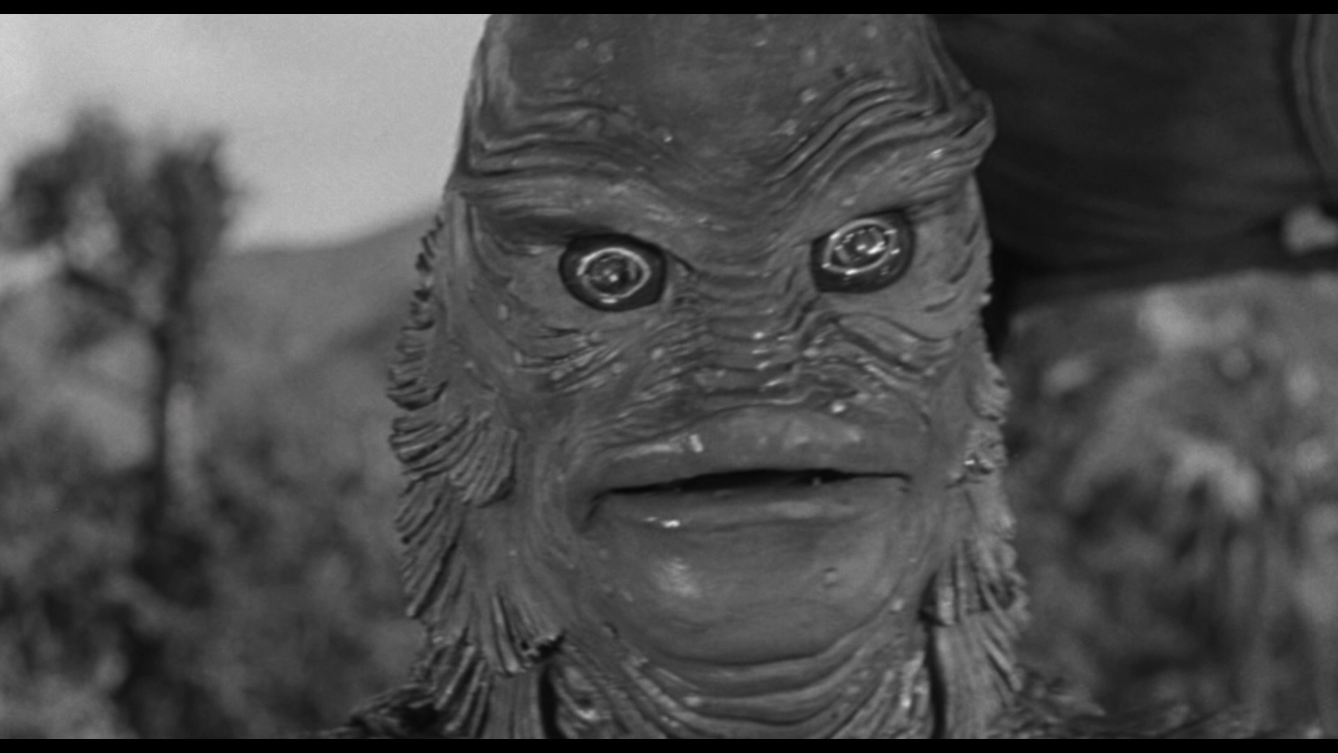 Creature from the Black Lagoon 3D Review - DoBlu.com