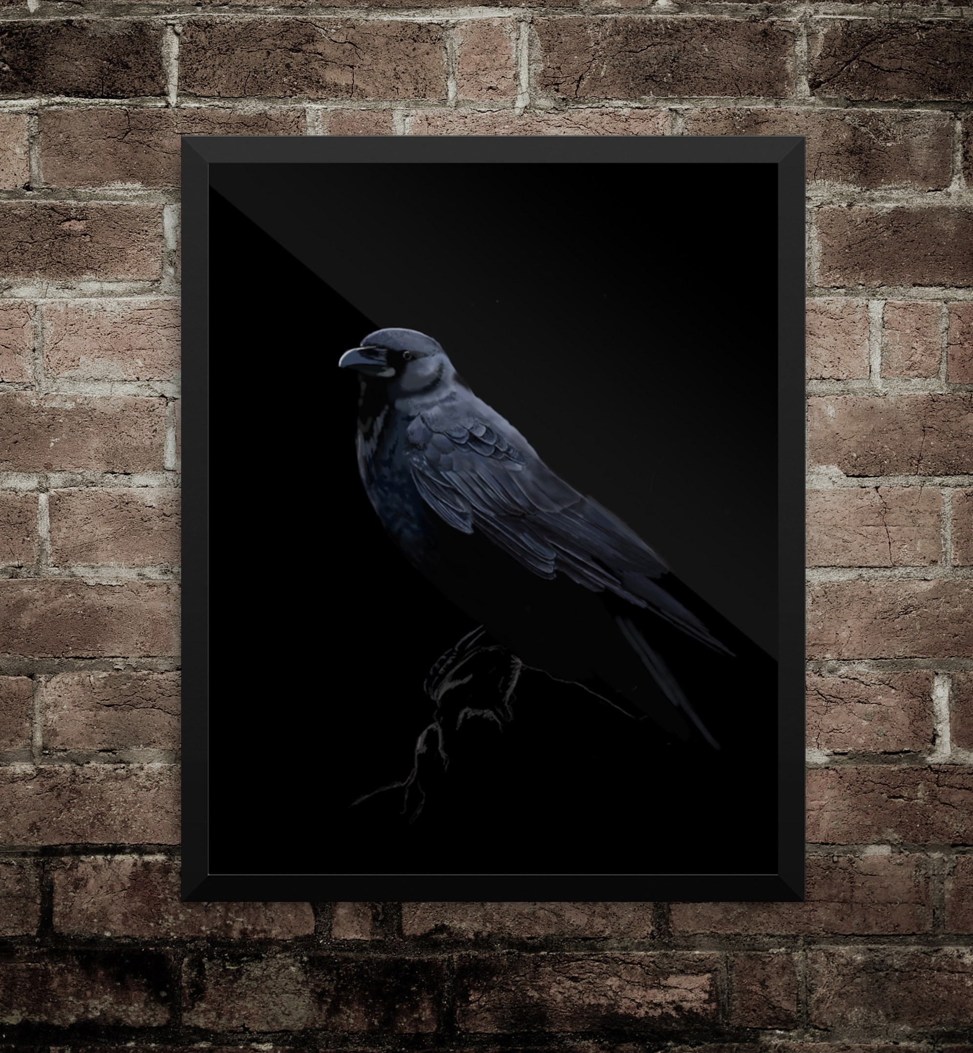 Black Crow Print - KC Gillies