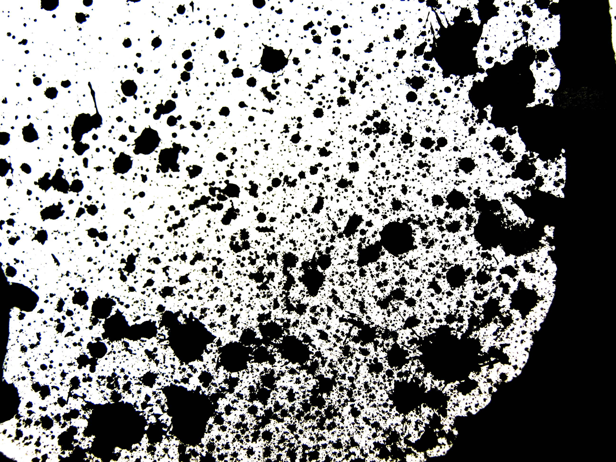 Black ink splatters photo