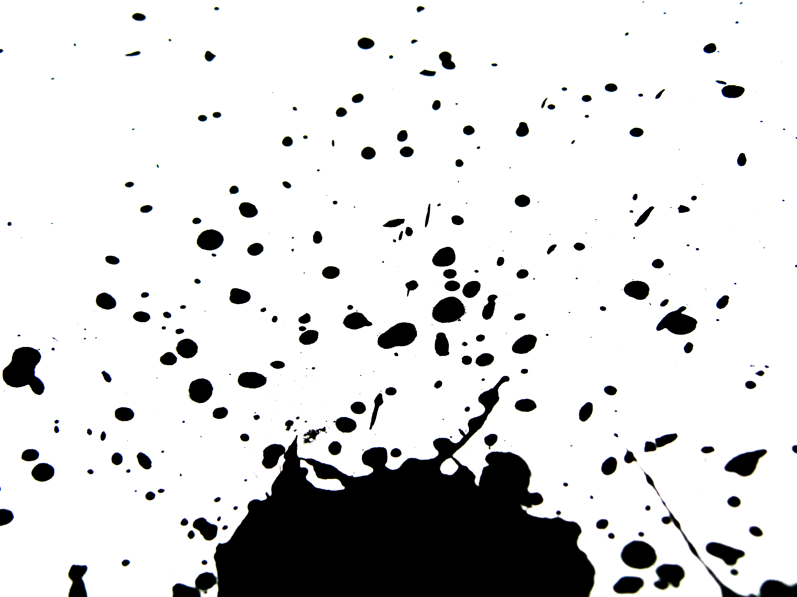 Black ink splatters photo