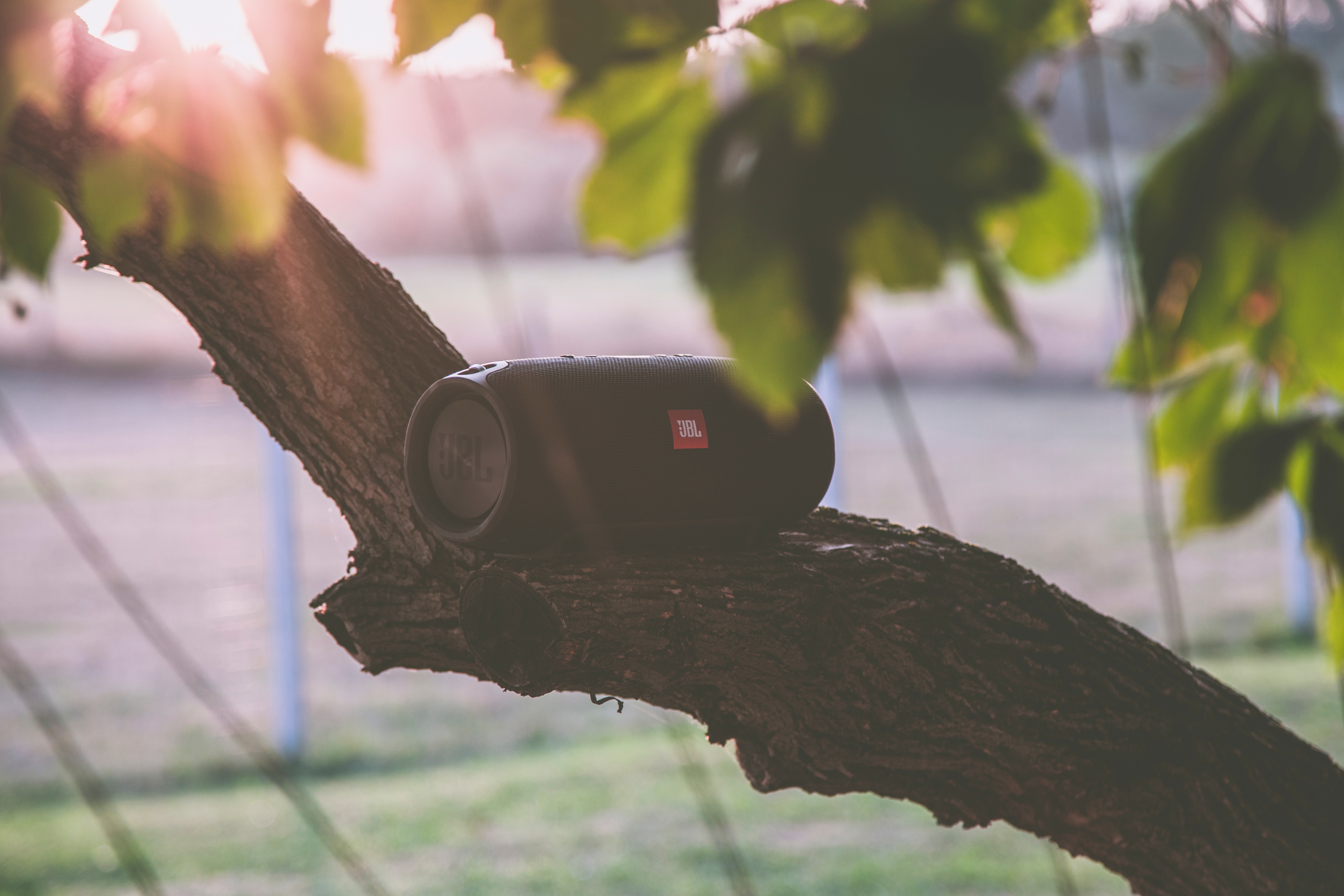 Black jbl bluetooth speaker on tree branch photo