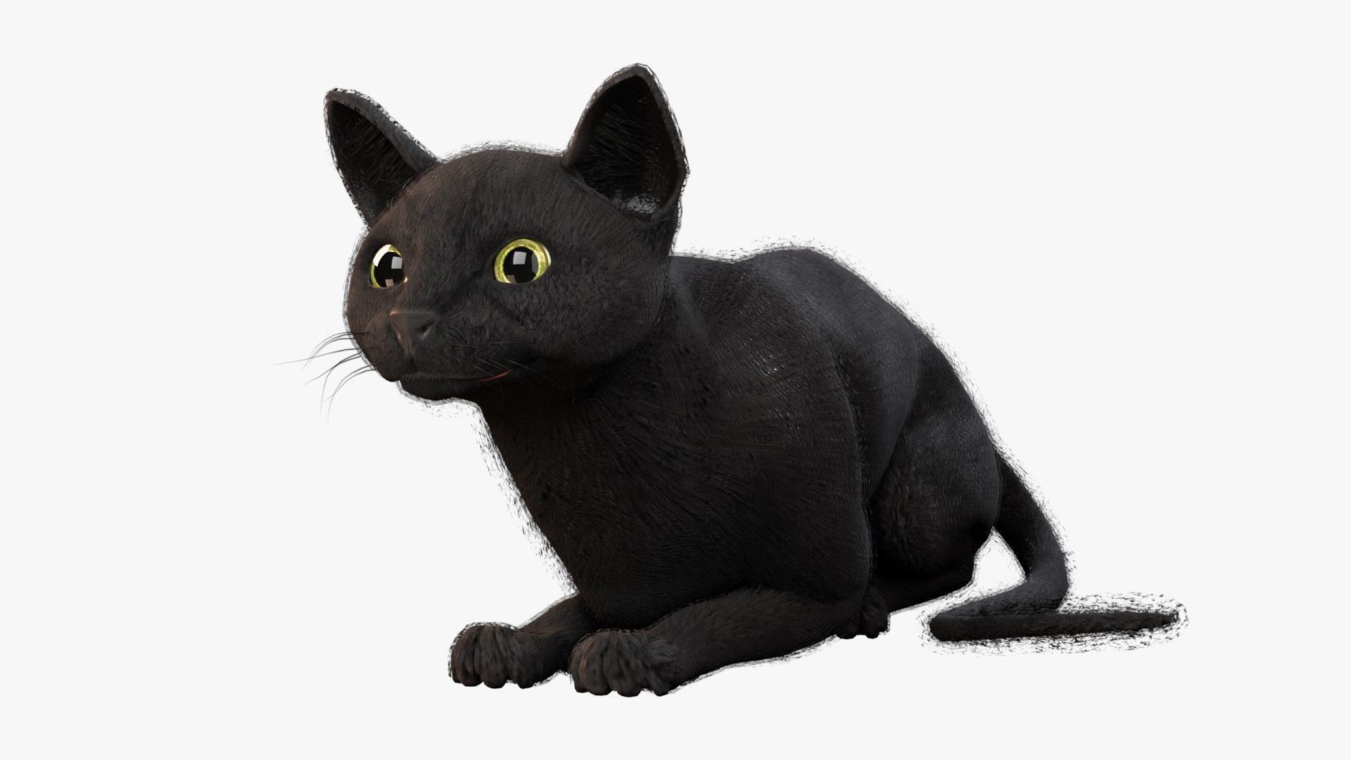 3D asset Cat black Rigged | CGTrader