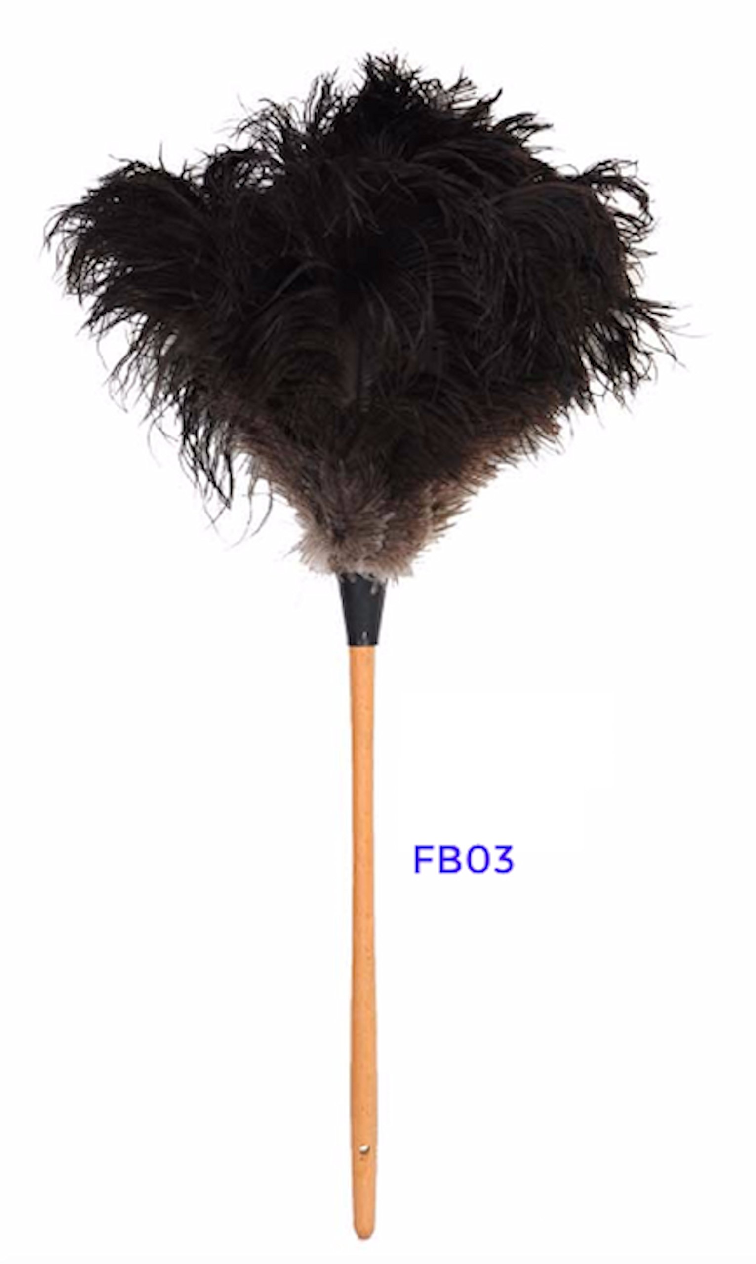 Amazon.com: Royal Ostrich Feather Duster (Medium FB02 (22