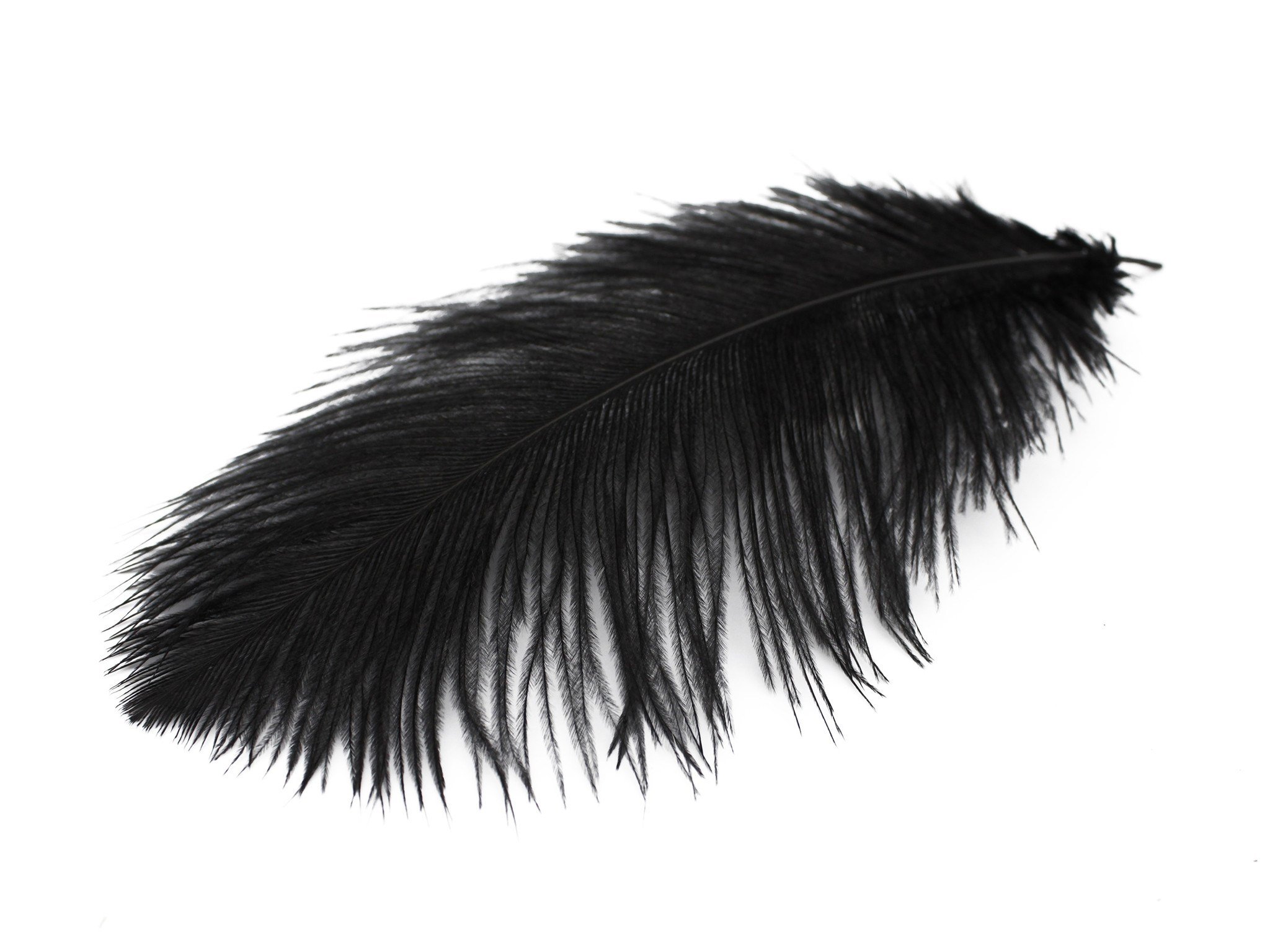 Black Ostrich Feathers Drabs (13-16